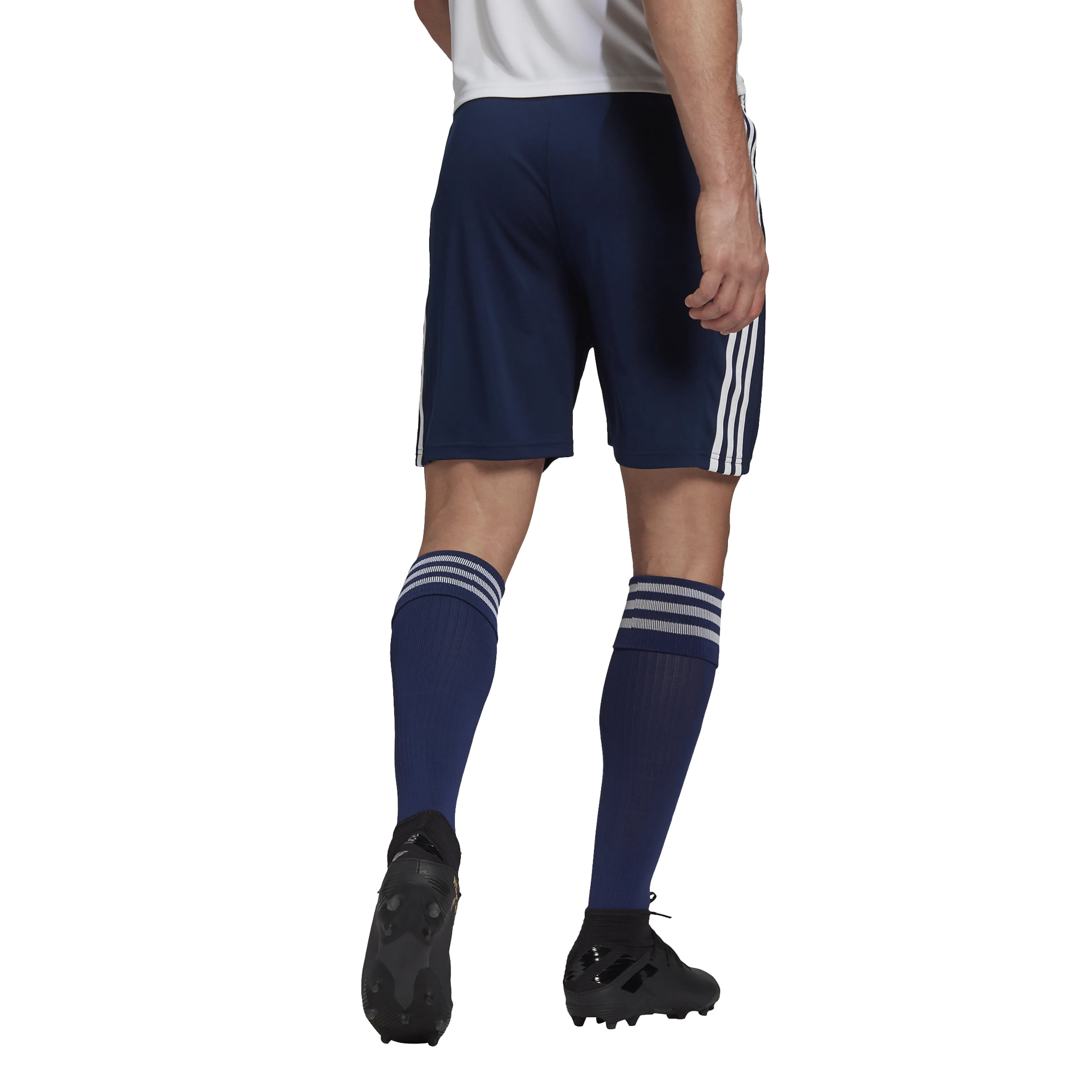 Squadra 21 shorts herre