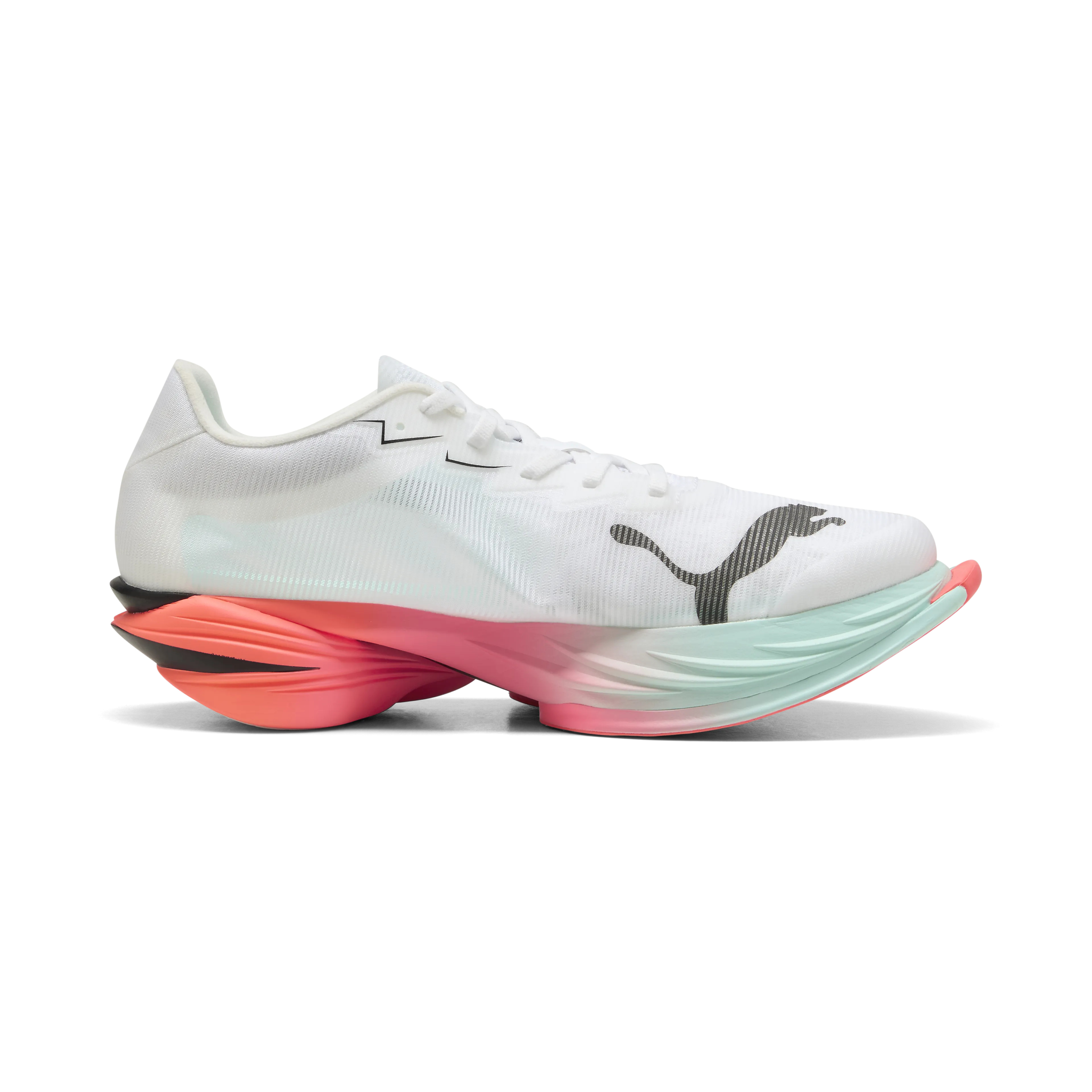 Fast-R Nitro Elite 3