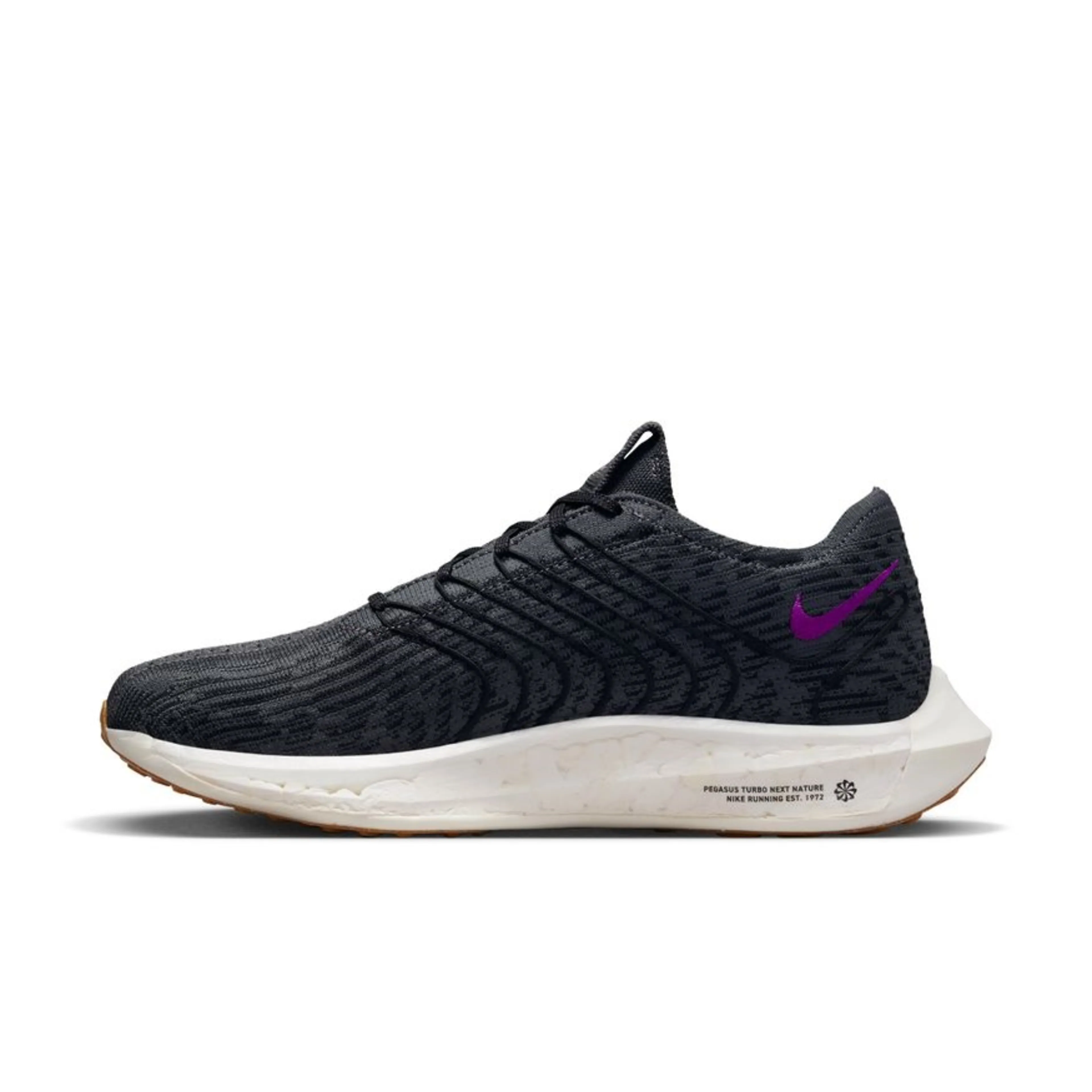Pegasus Turbo Next Nature