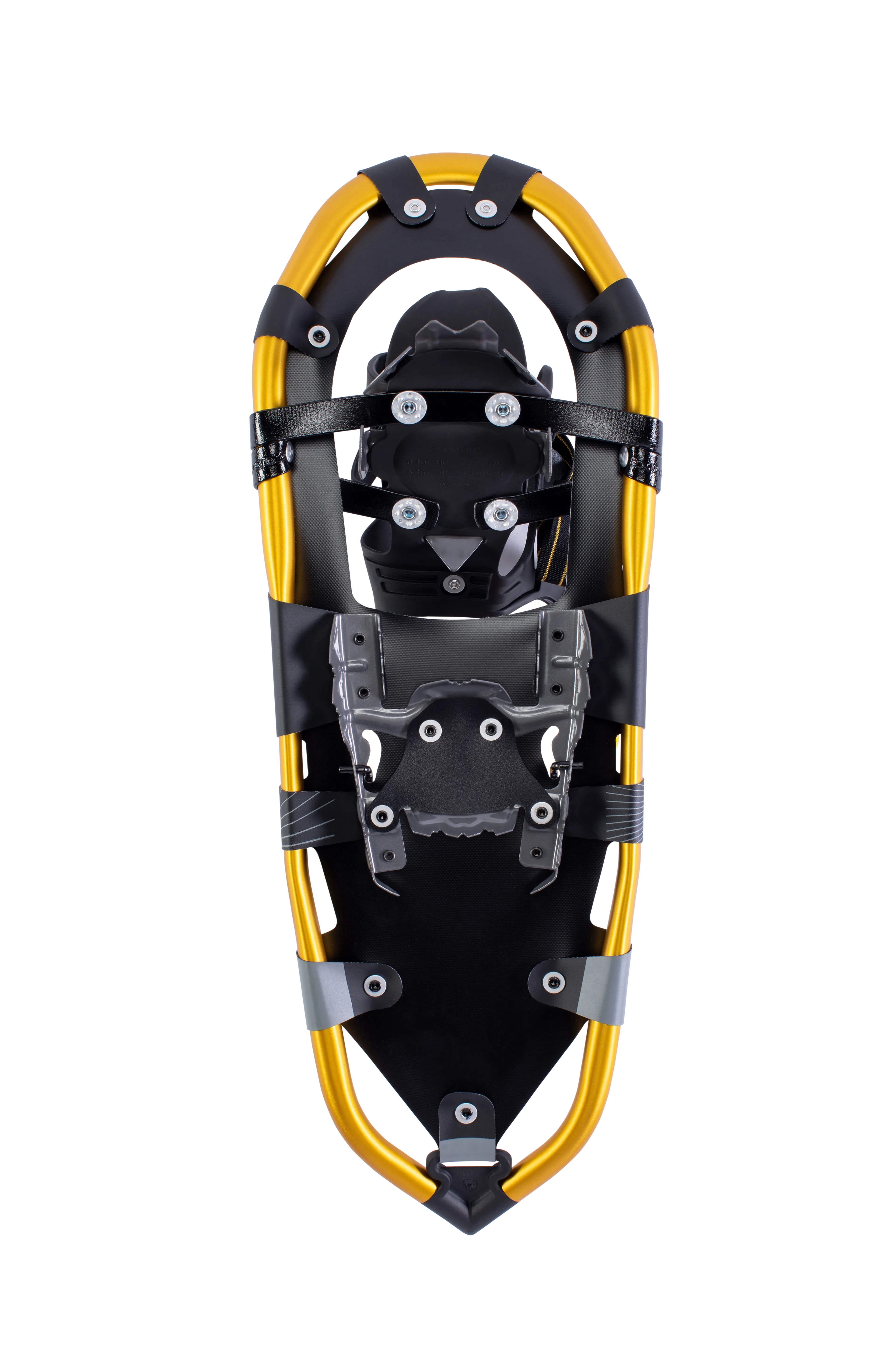 Montane