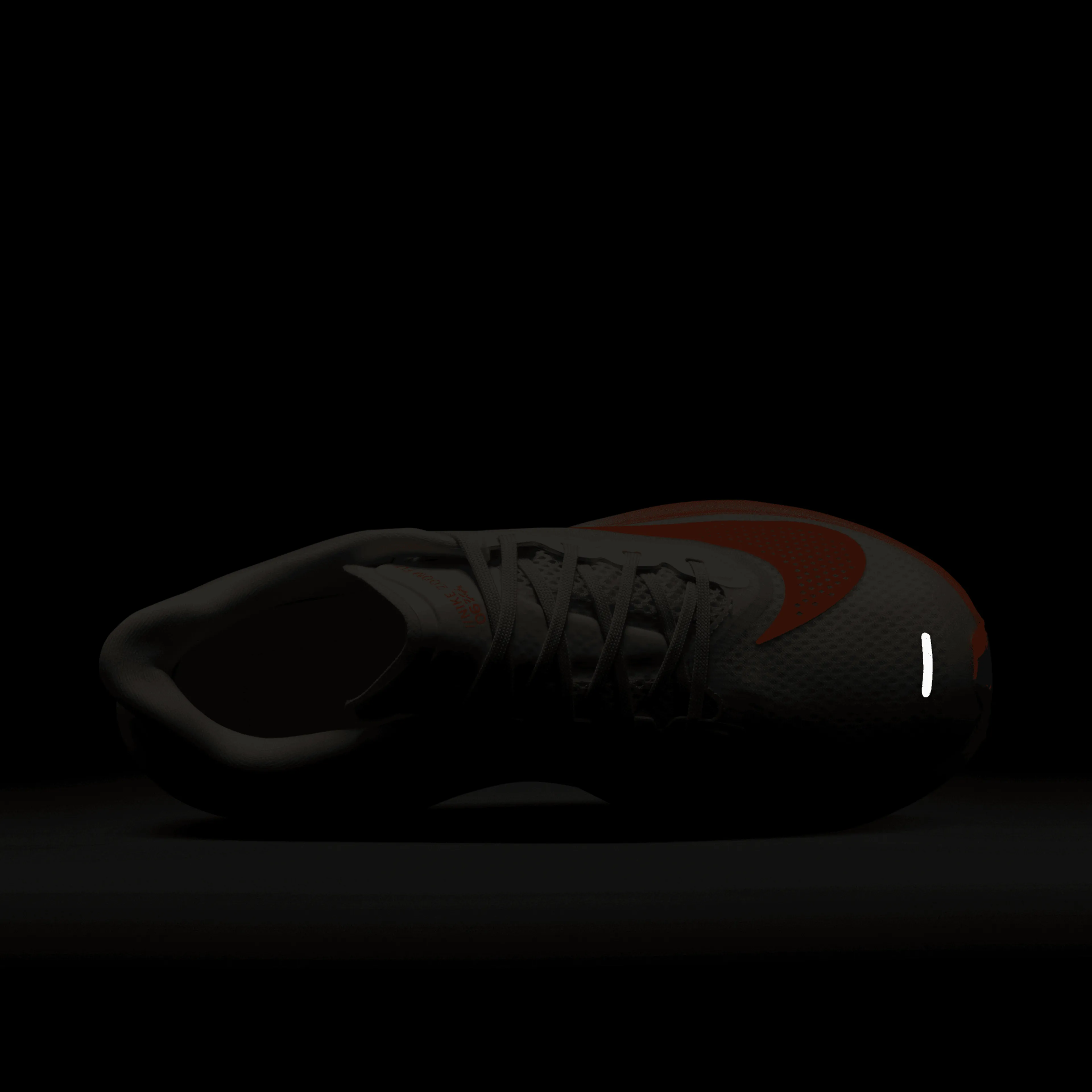 Zoom Fly 6