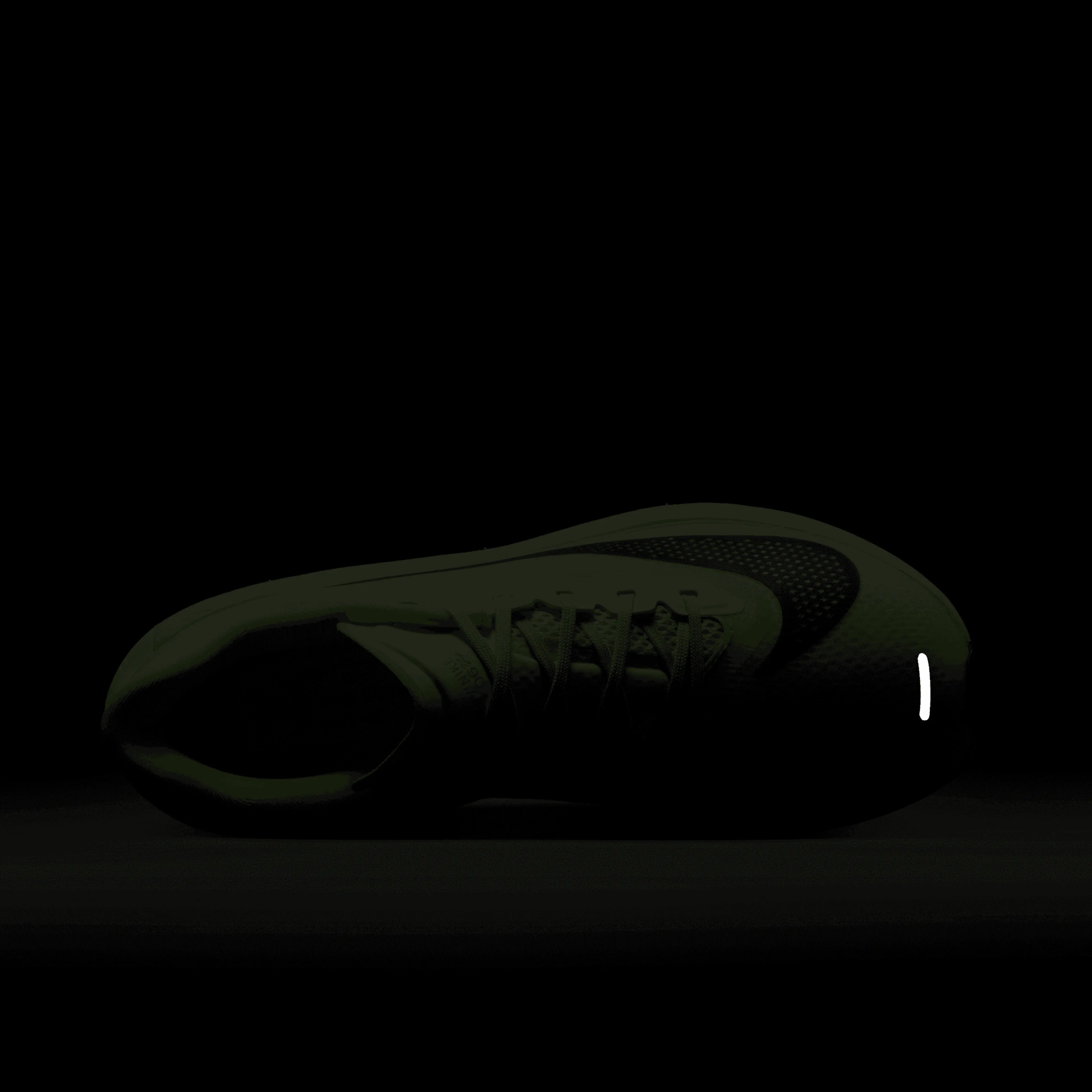 Zoom Fly 6