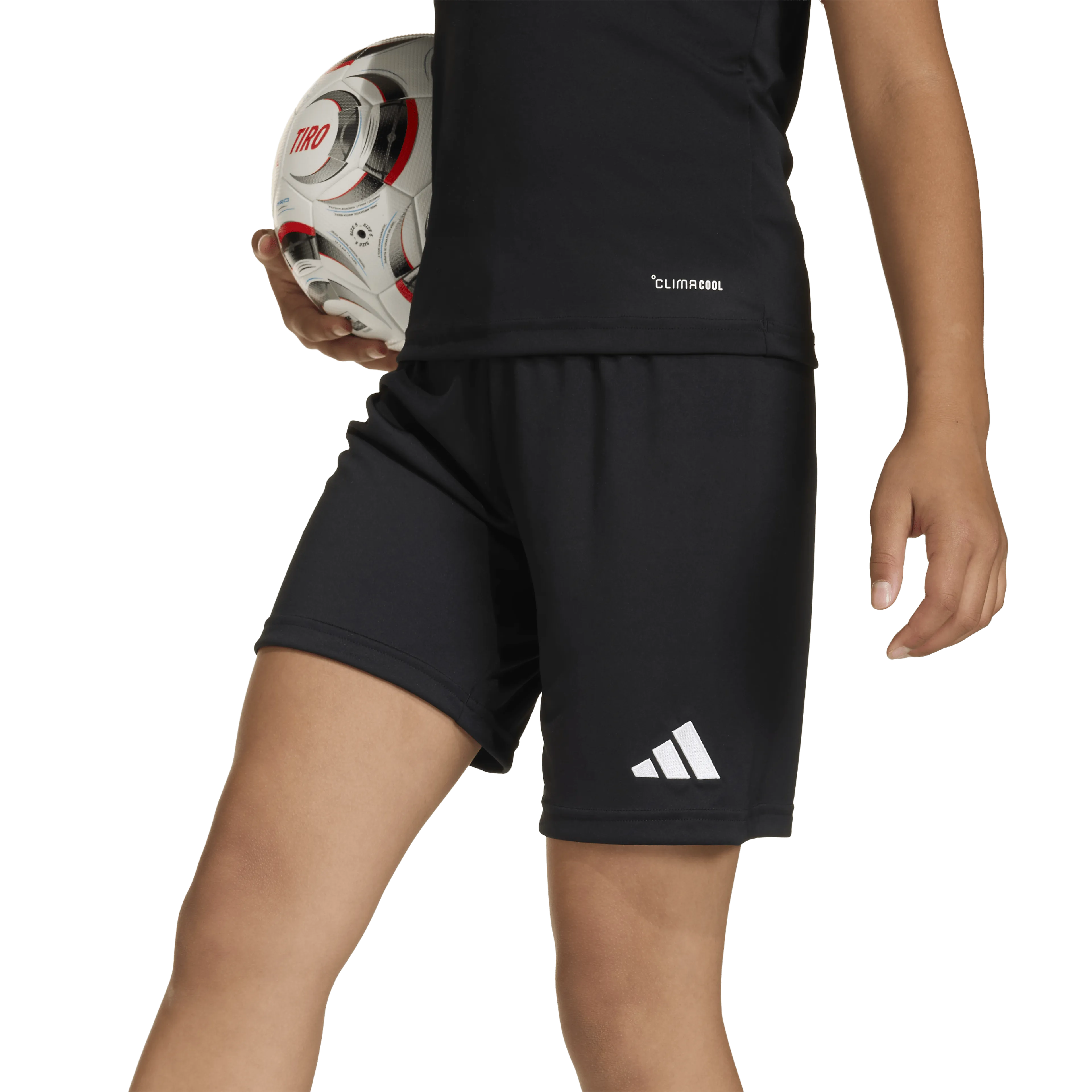 Entrada26 Shorts Junior