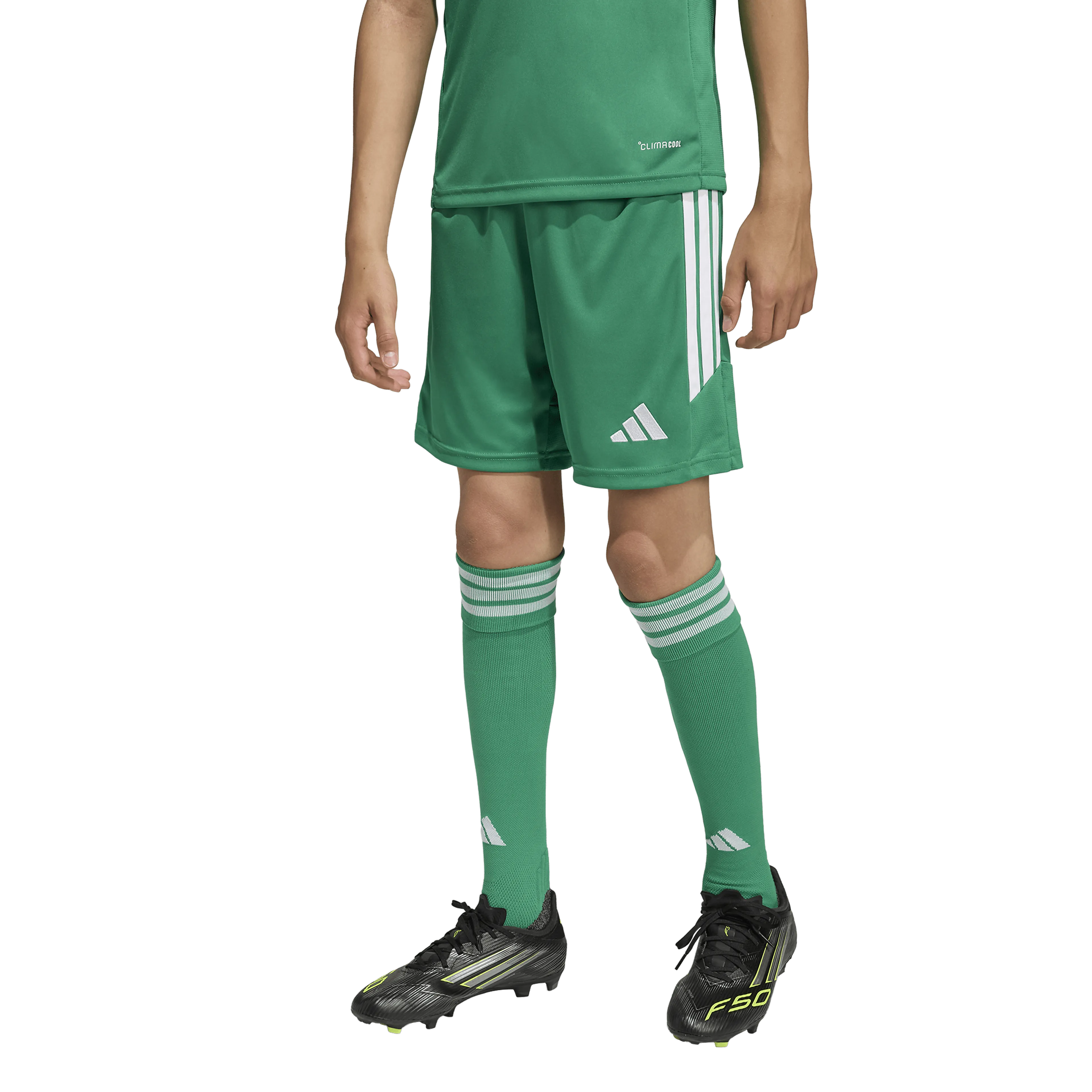 Tiro26 League Kids Shorts 