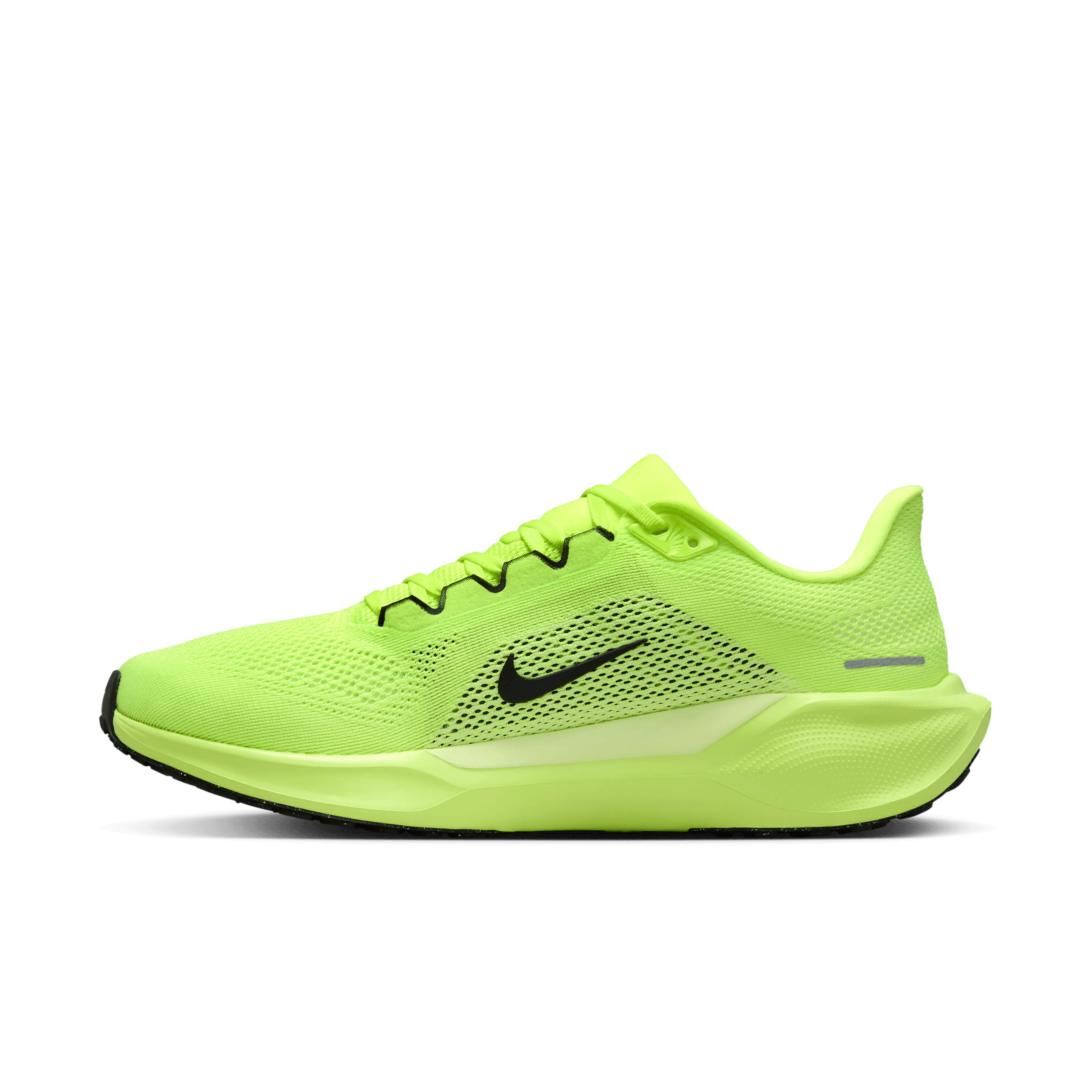 Pegasus 41