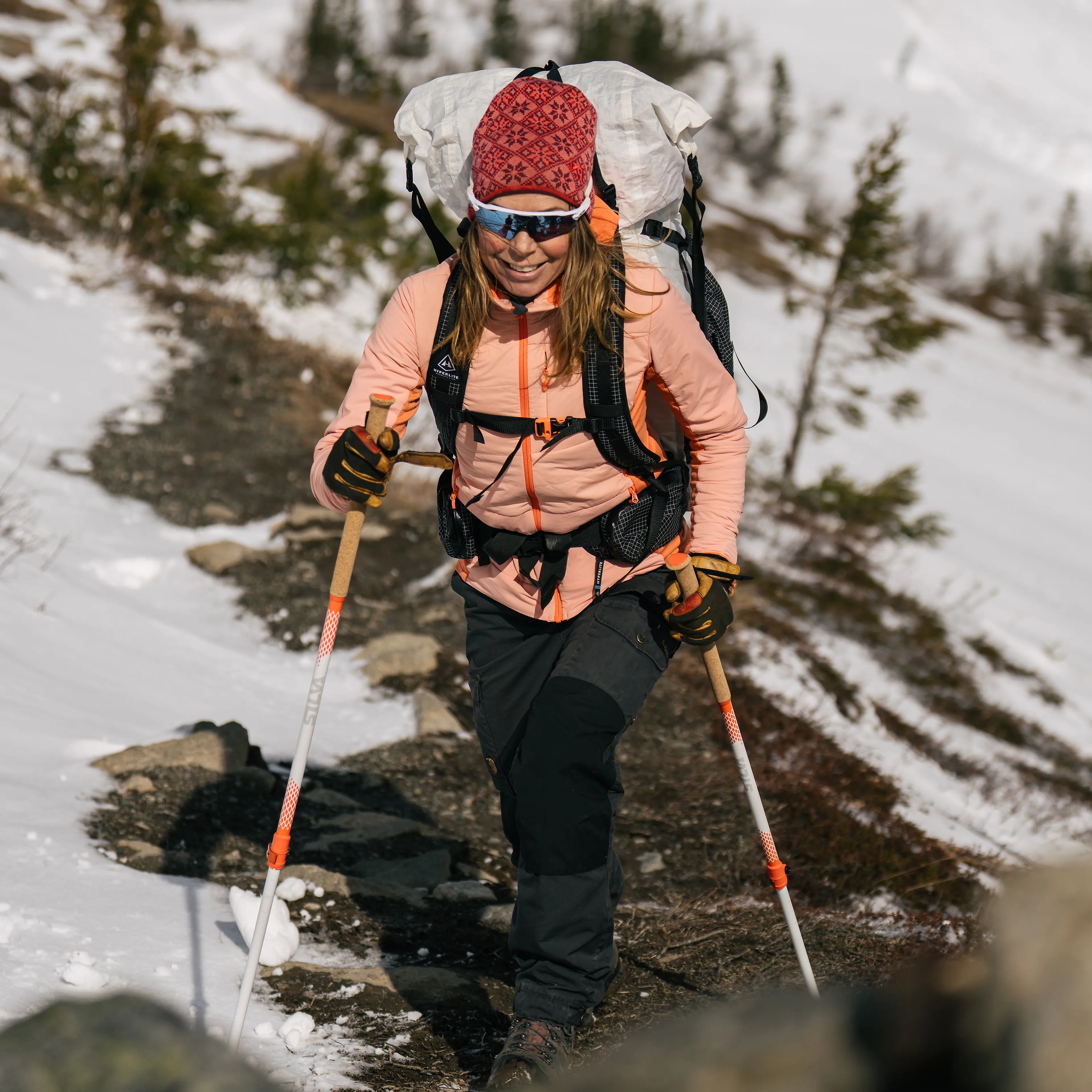 Trekking poles all season alpine alu tele