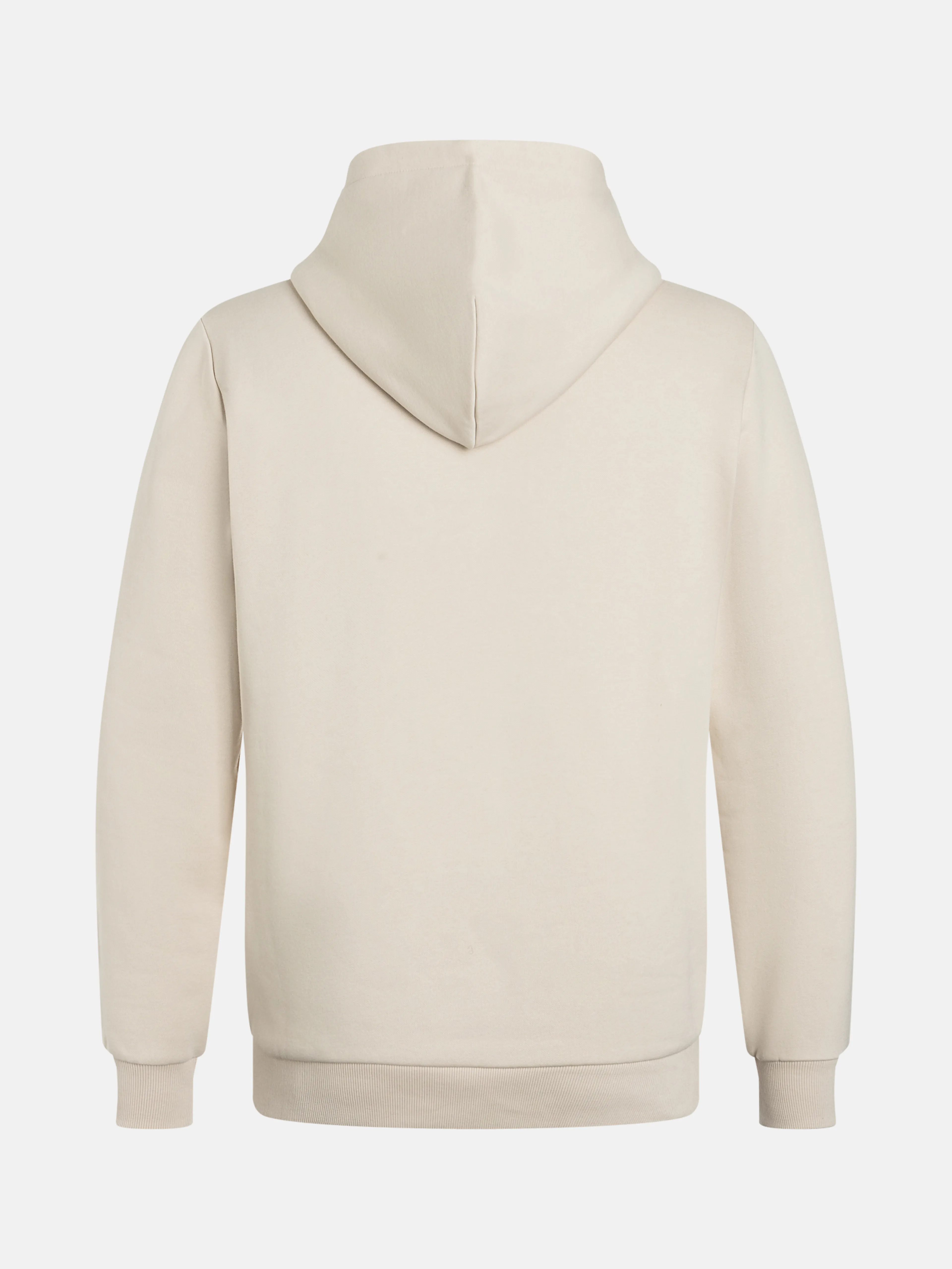 Big Logo Hood hettegenser herre