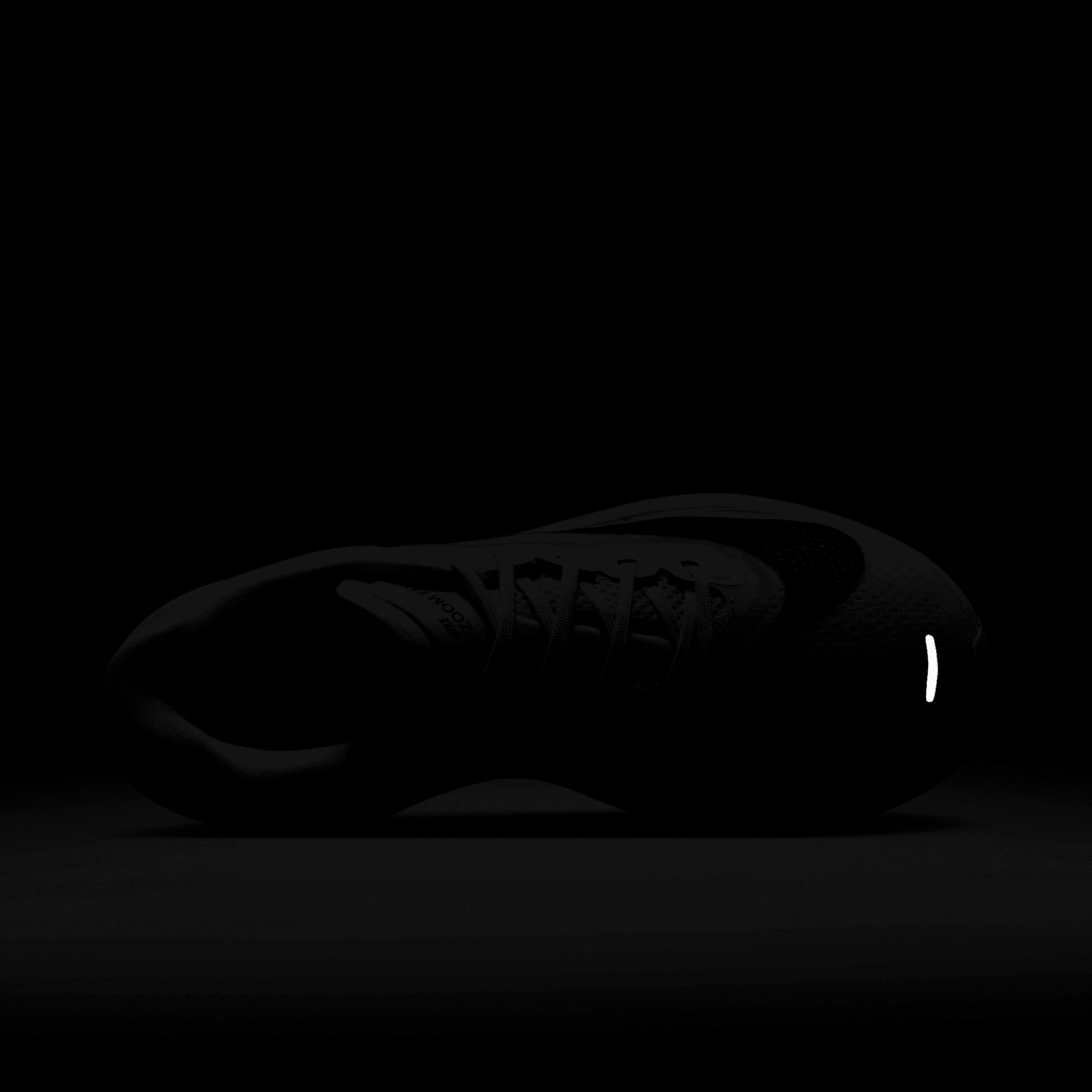 Zoom Fly 6