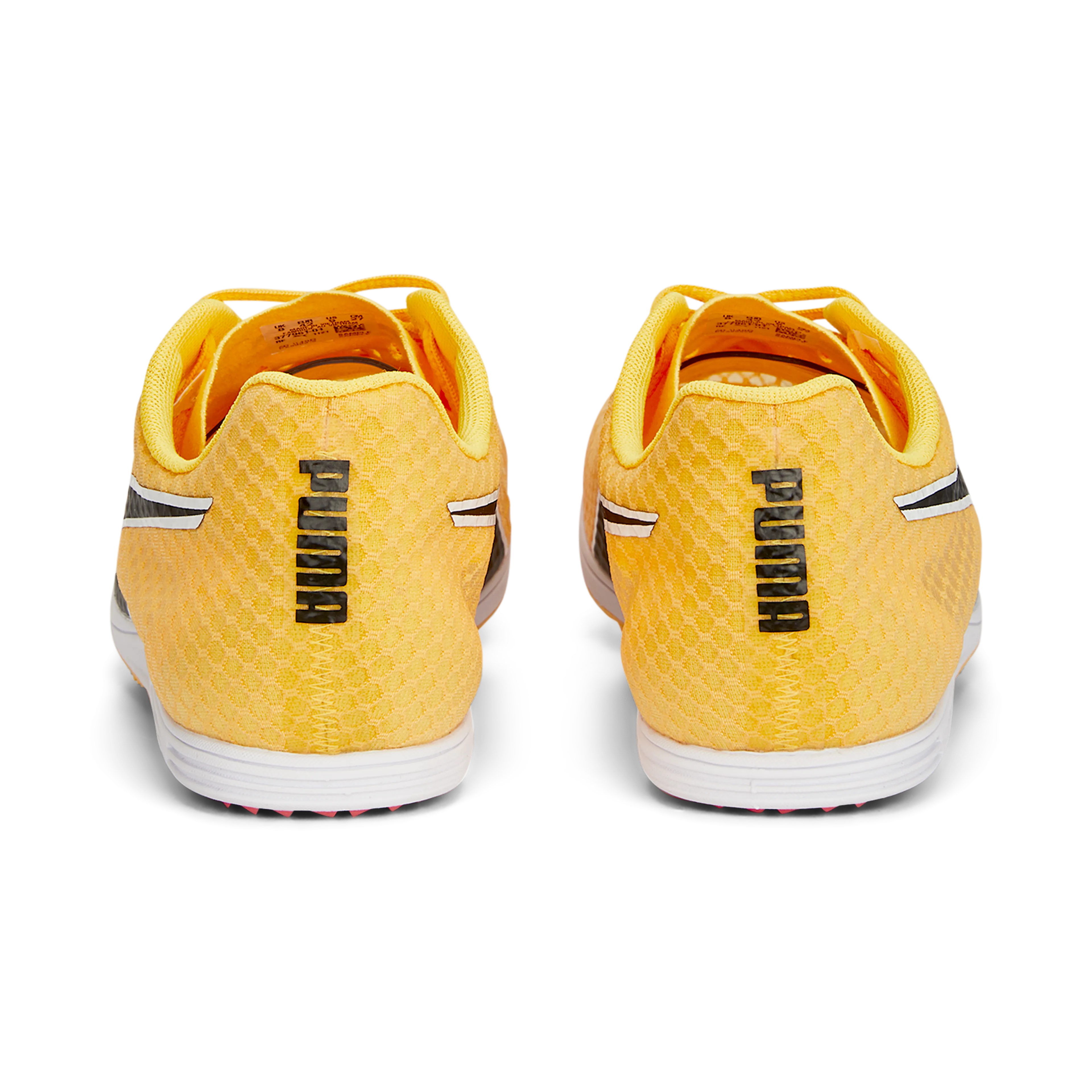 evoSPEED Distance 11