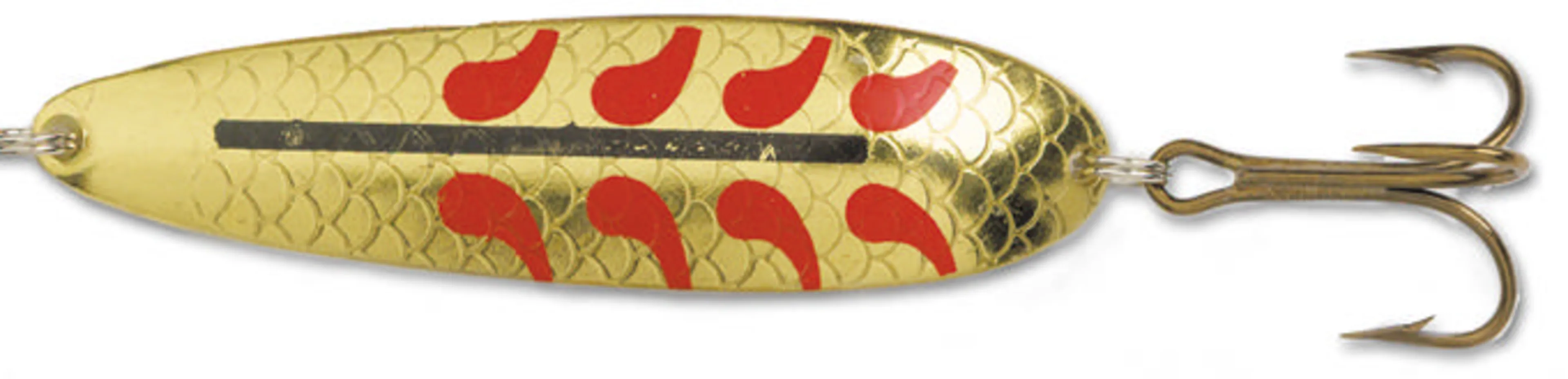 Salamander Allround