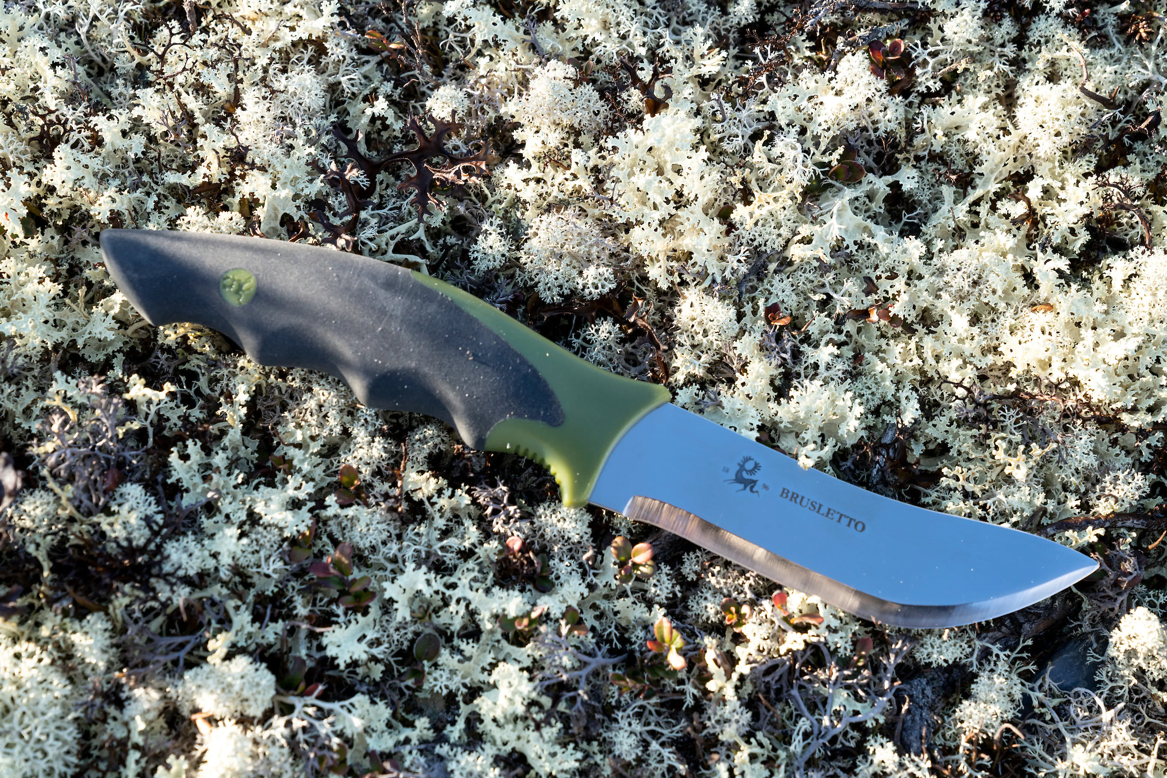 Skinner
