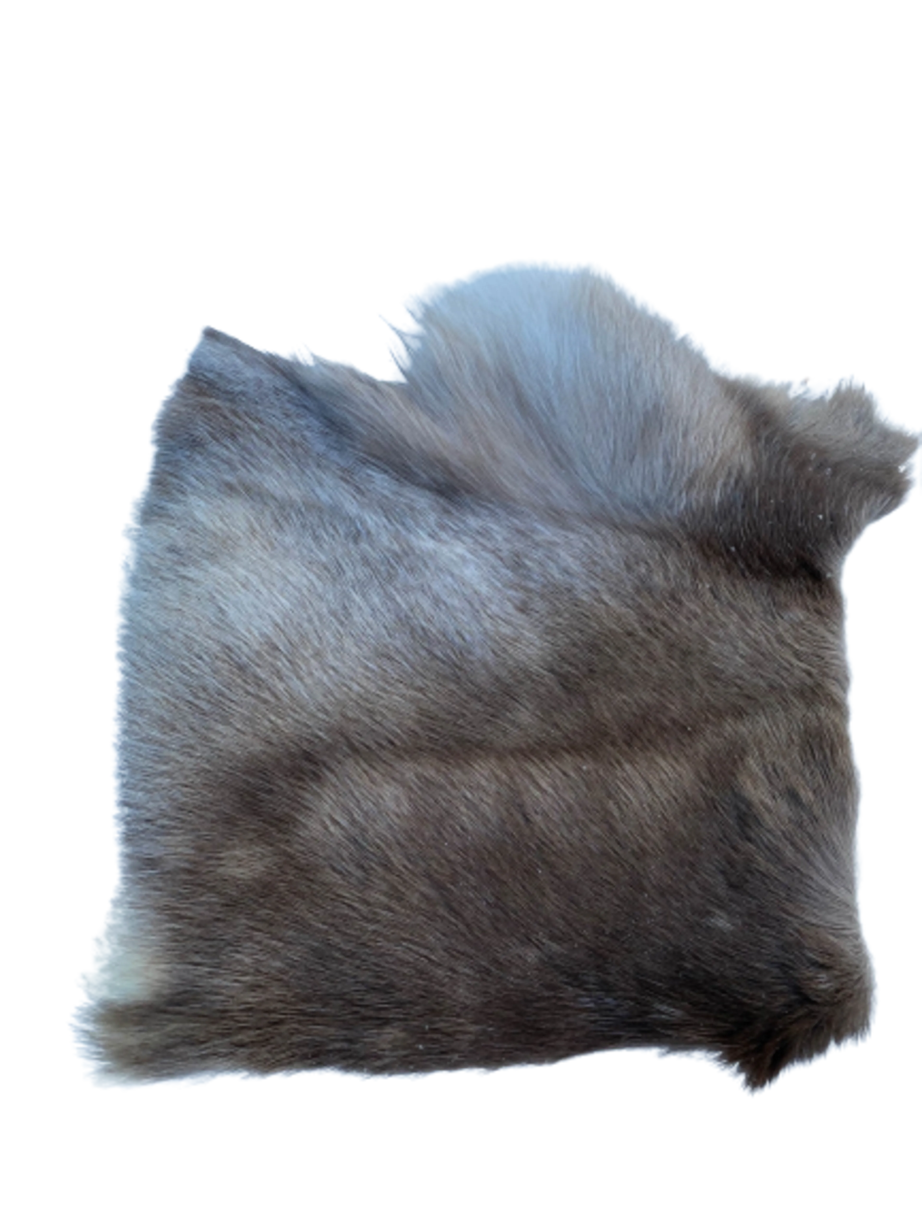 Reinskinn tur