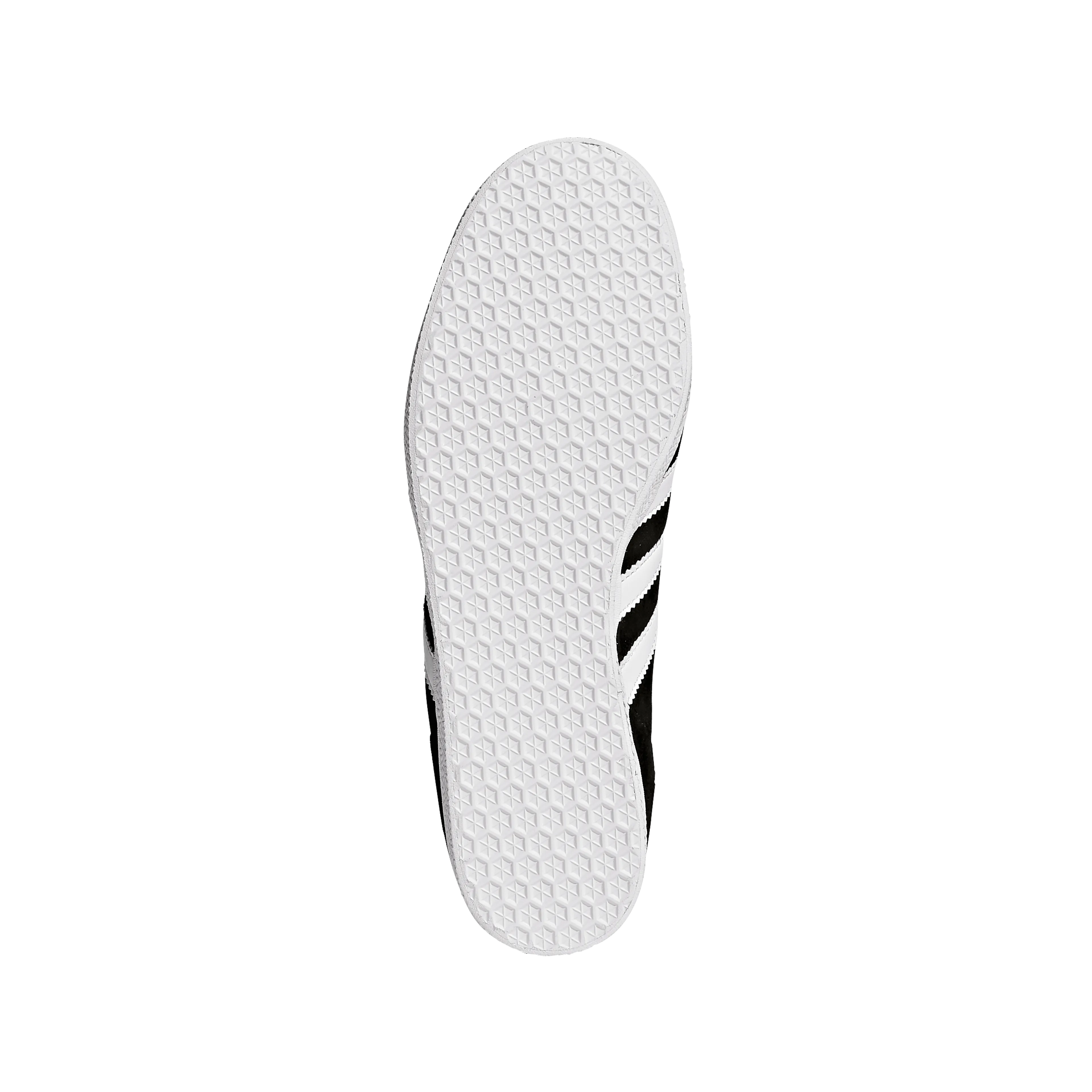 Gazelle