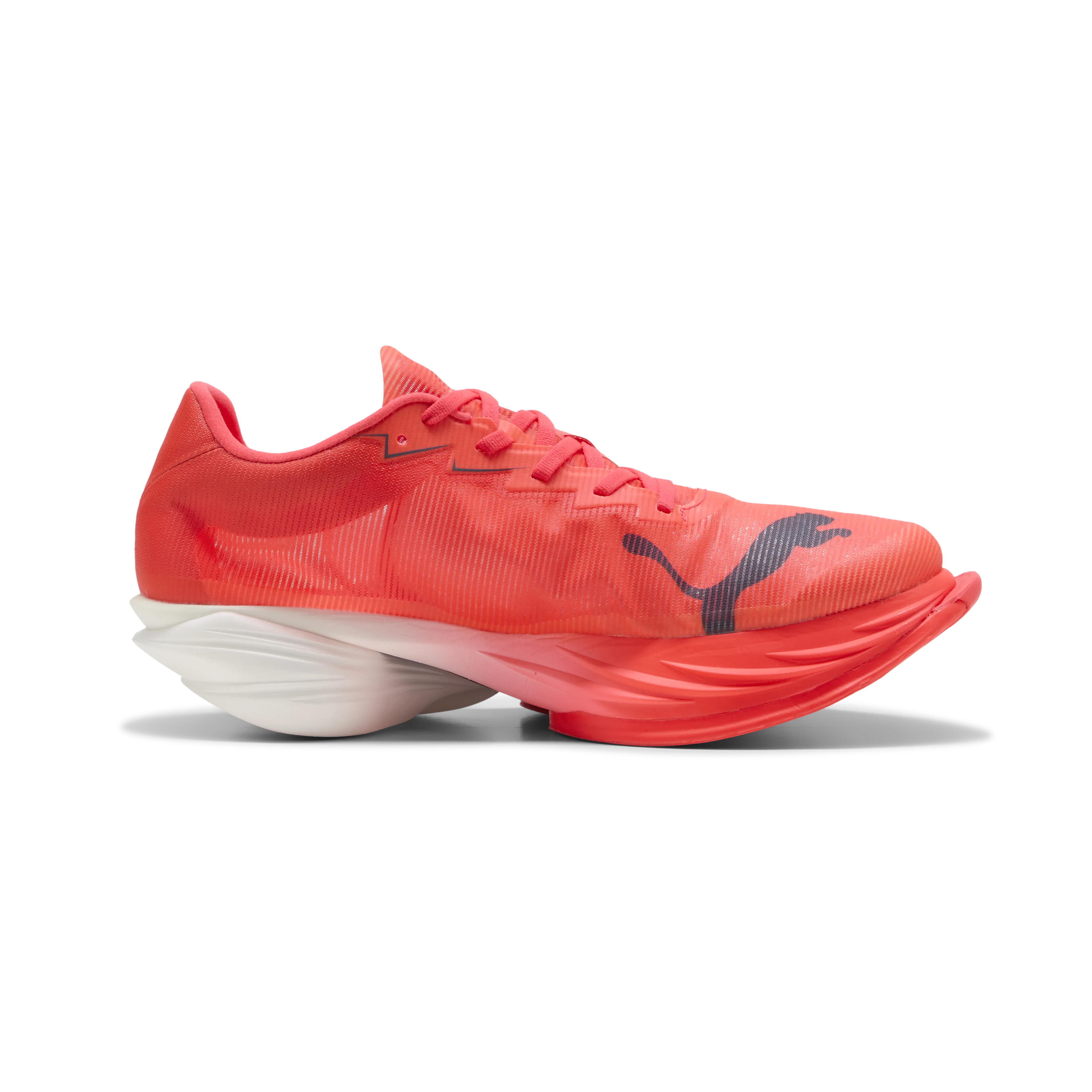 Fast-R Nitro Elite 3