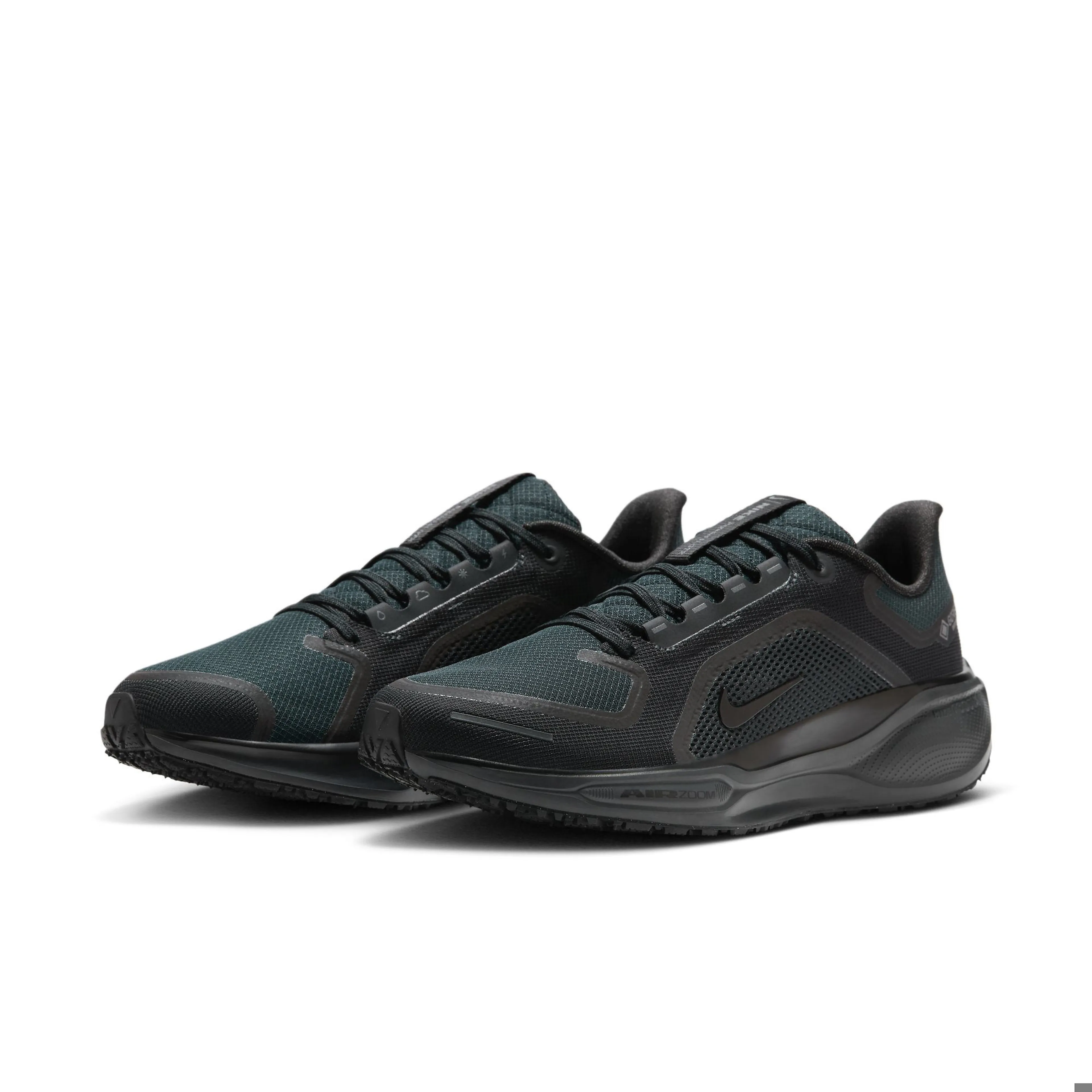 Air Zoom Pegasus 41 GTX