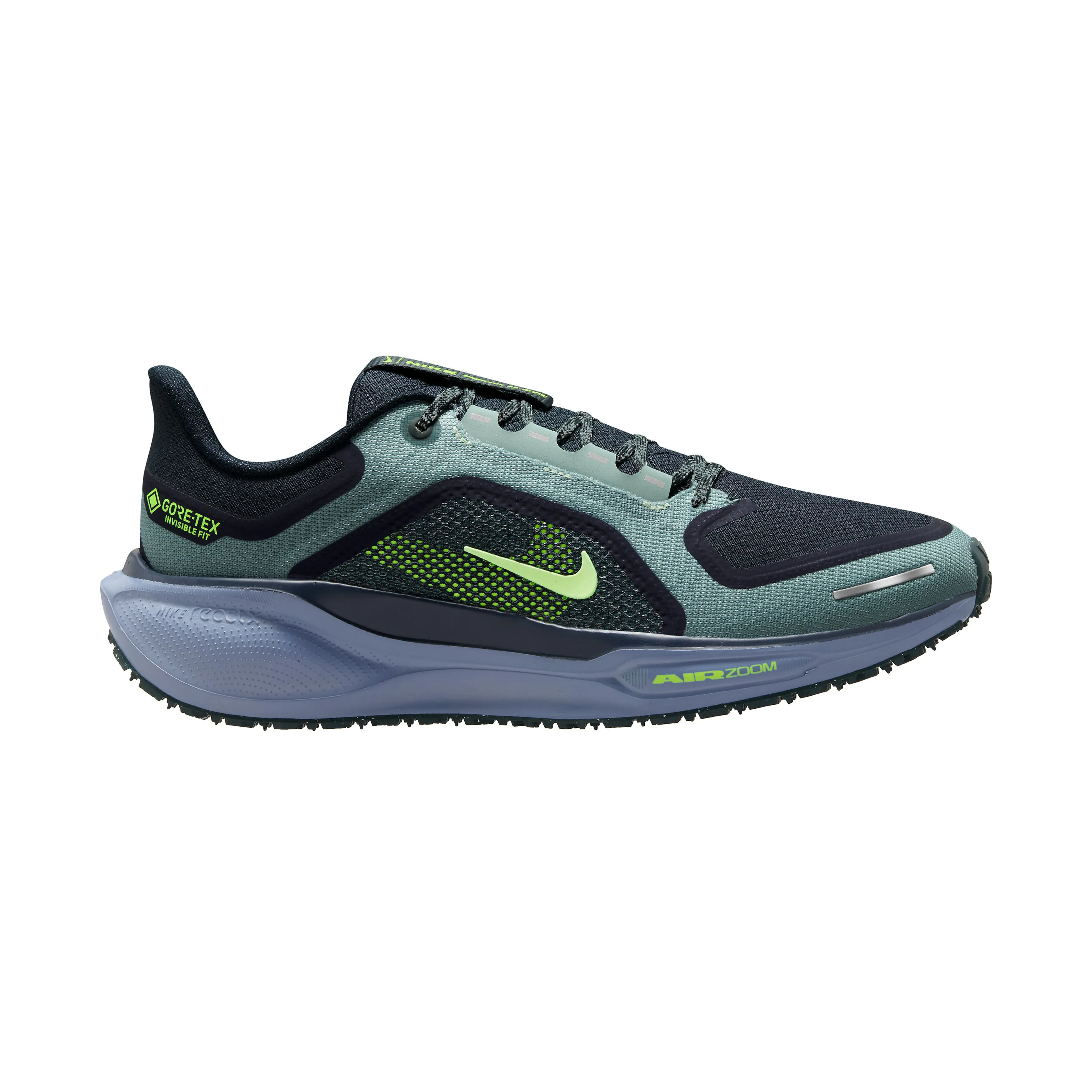 Pegasus 41 GORE-TEX