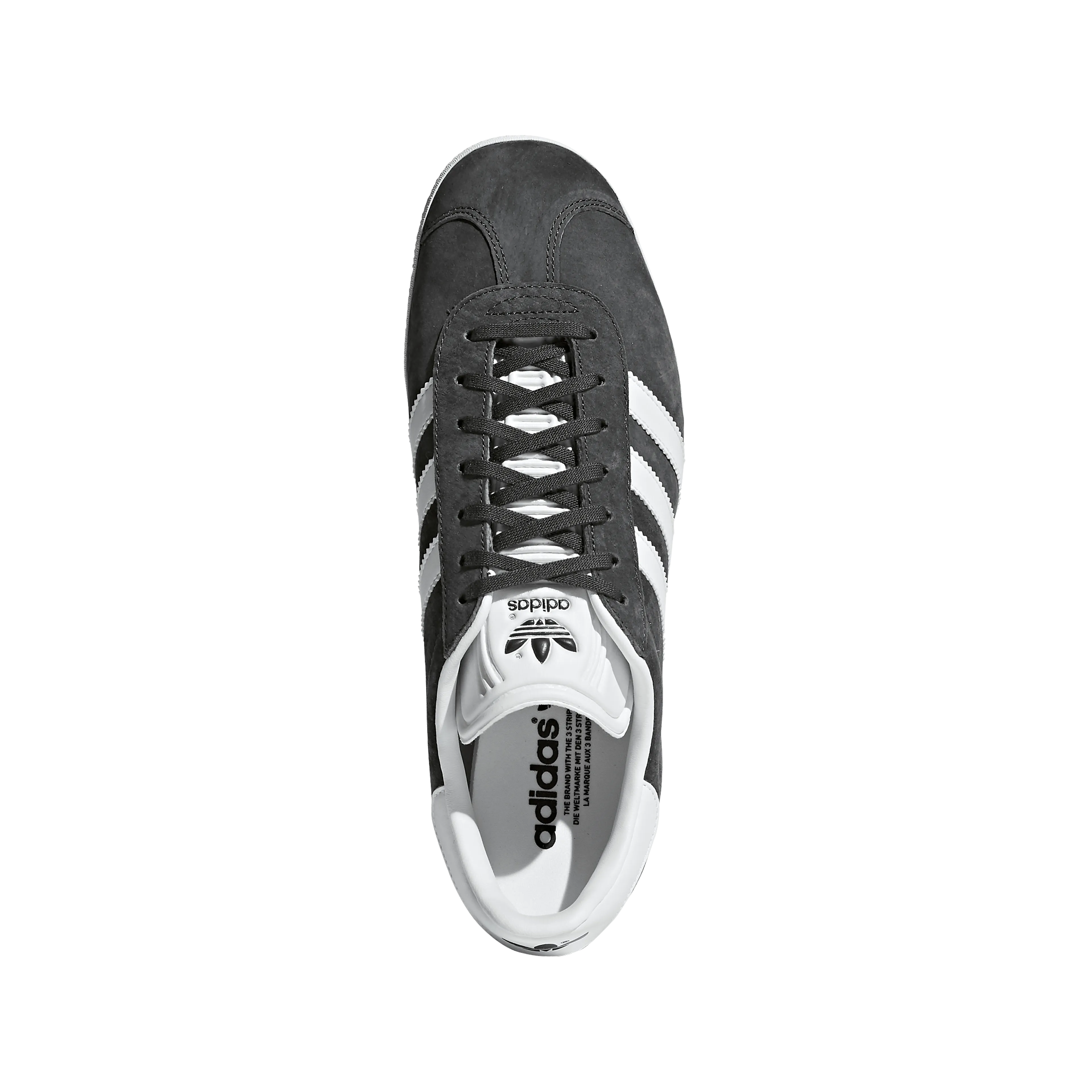 Gazelle