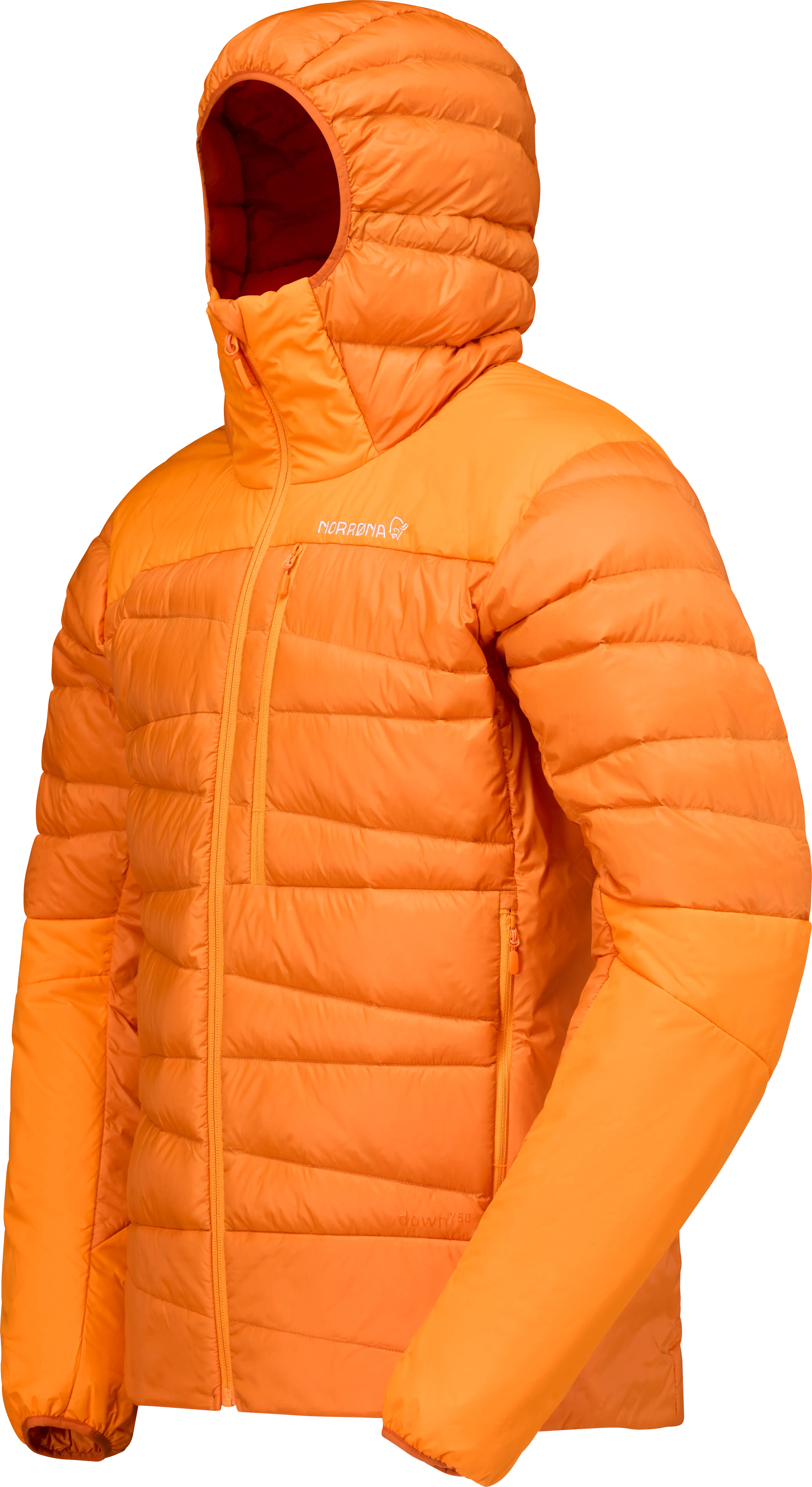 falketind down750 Hood M's