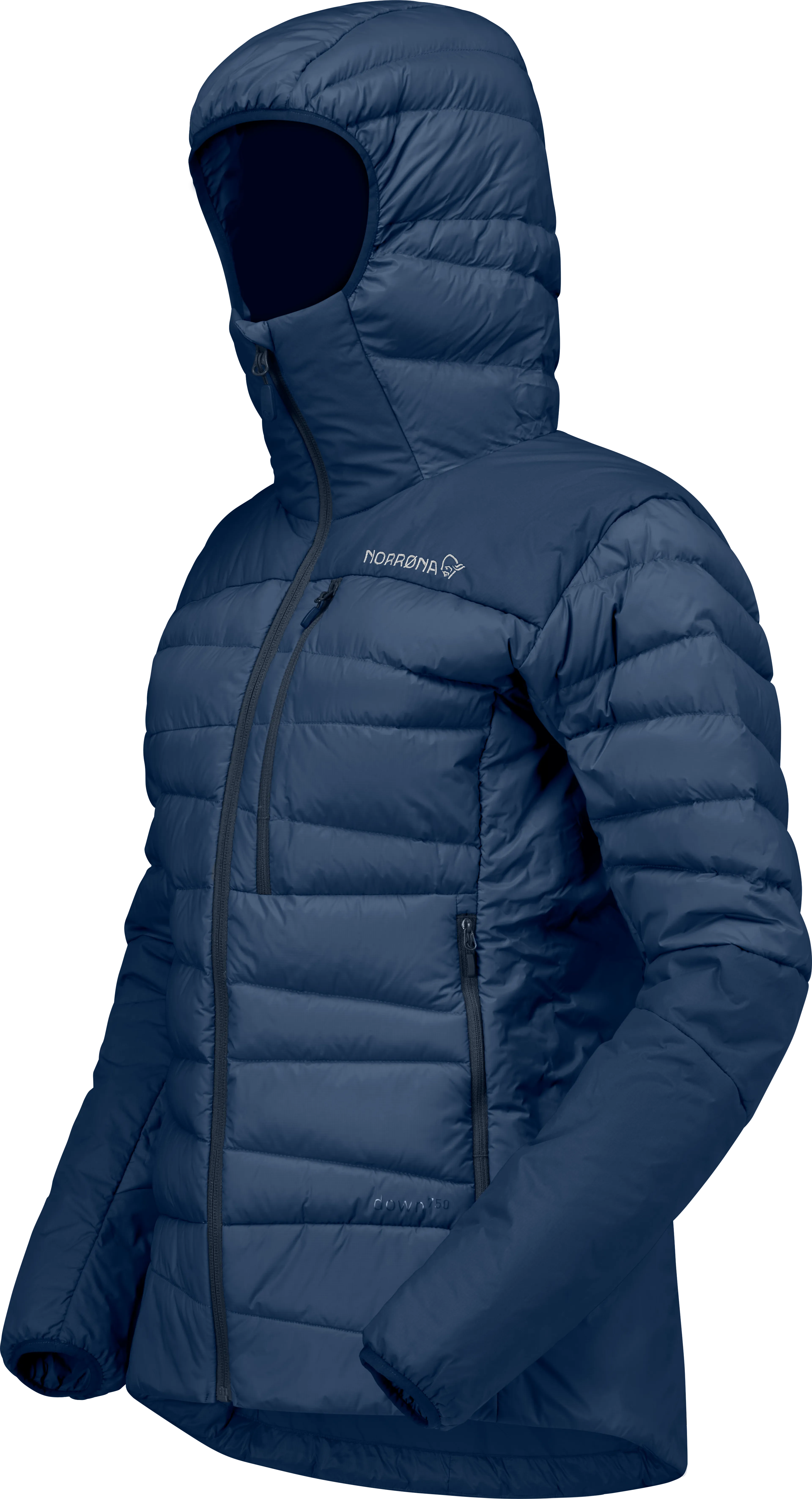 falketind down750 Hood W's