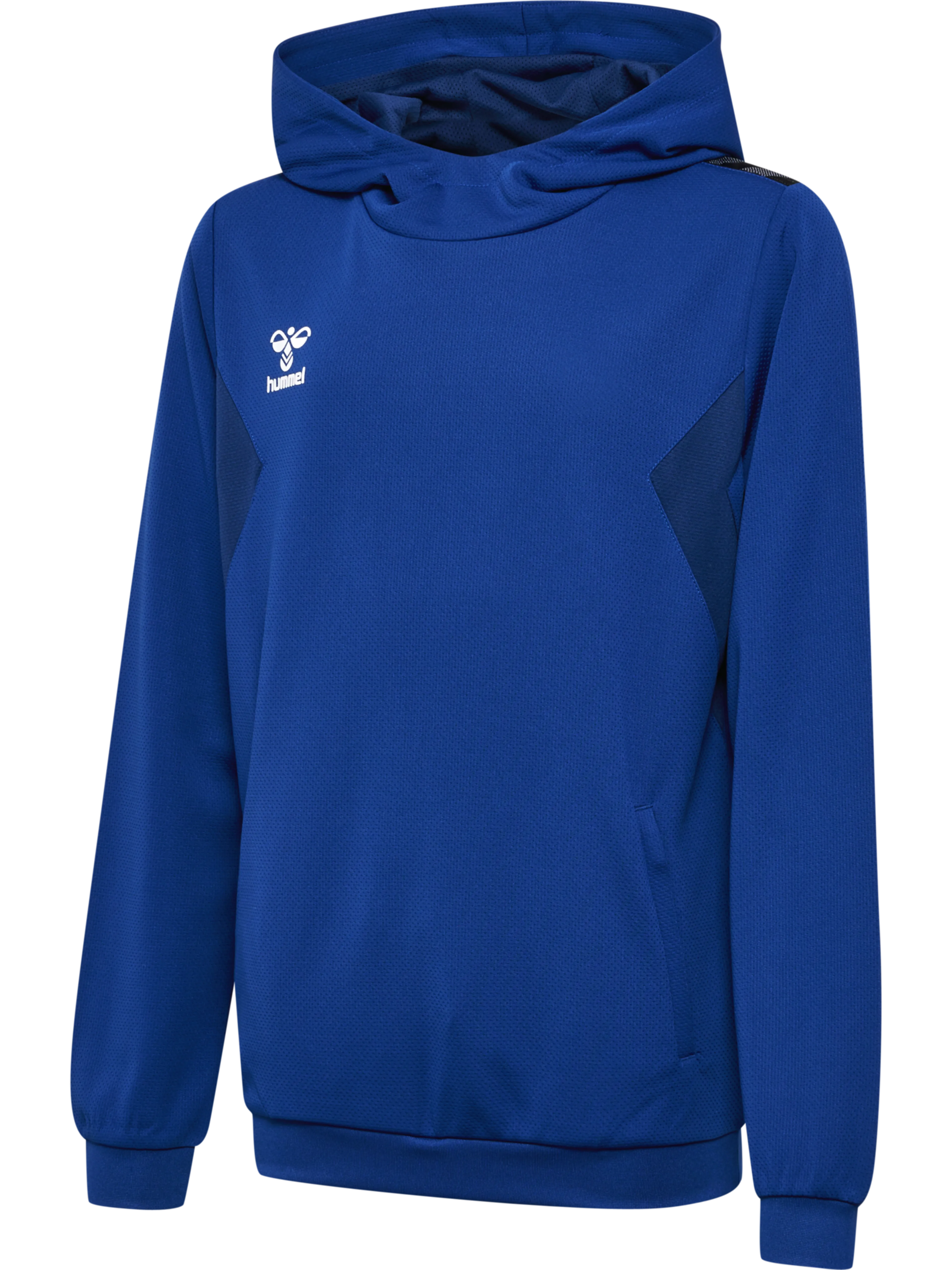 hmlAUTHENTIC PL HOODIE KIDS