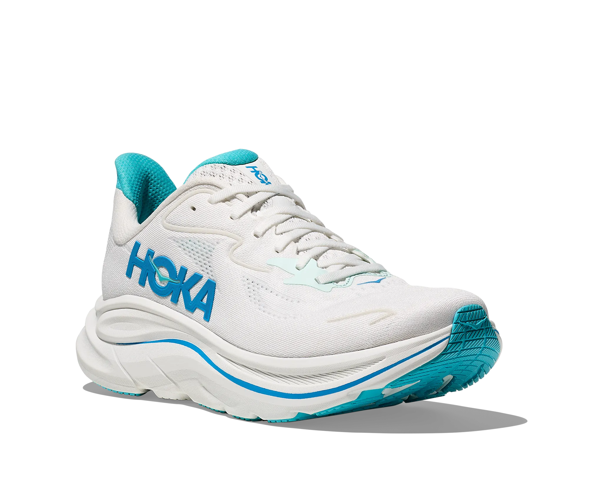 hoka fly