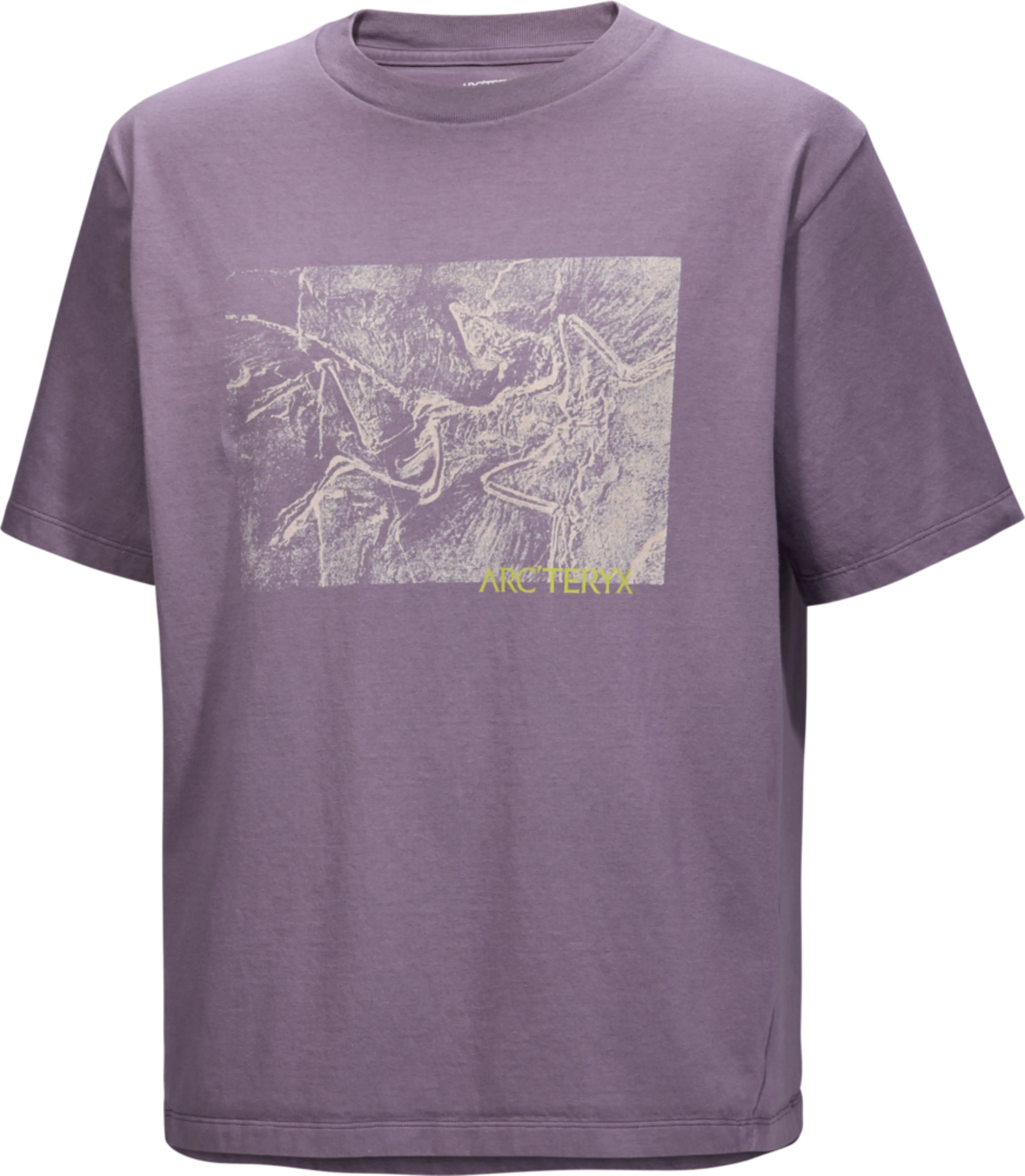 Kragg Cotton Lithographica SS M