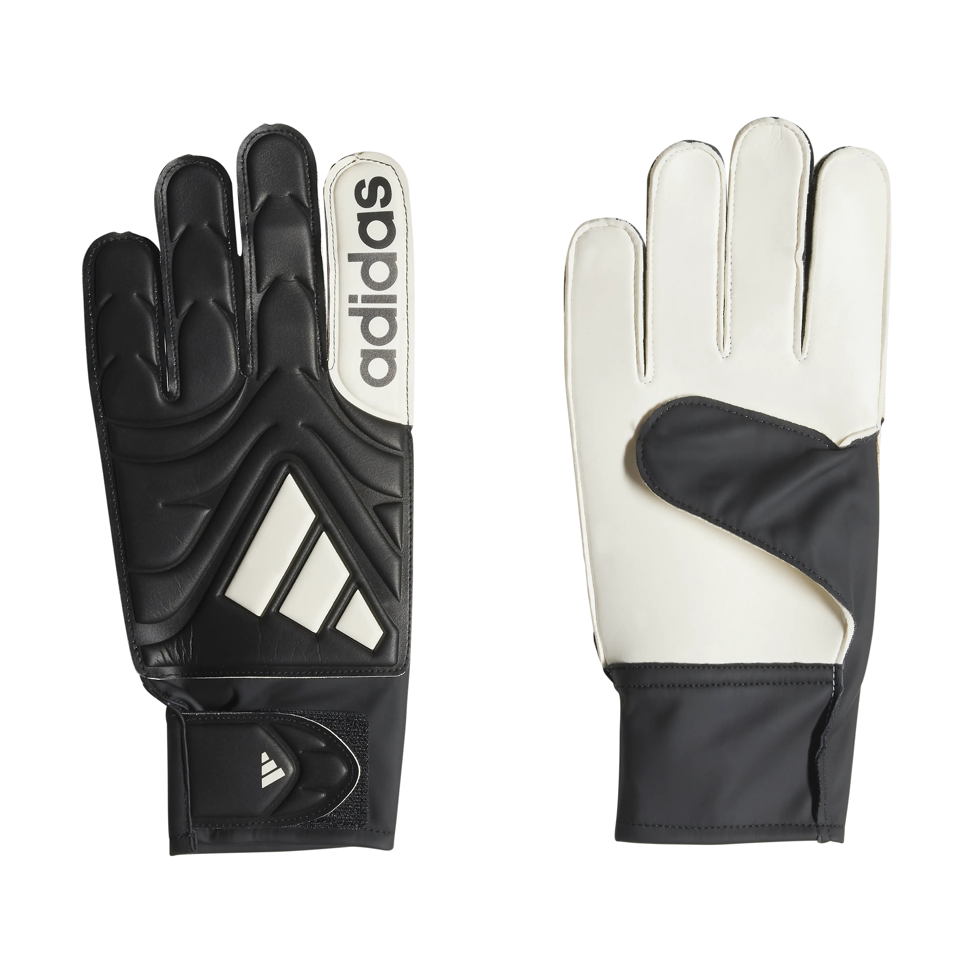 COPA GL CLB