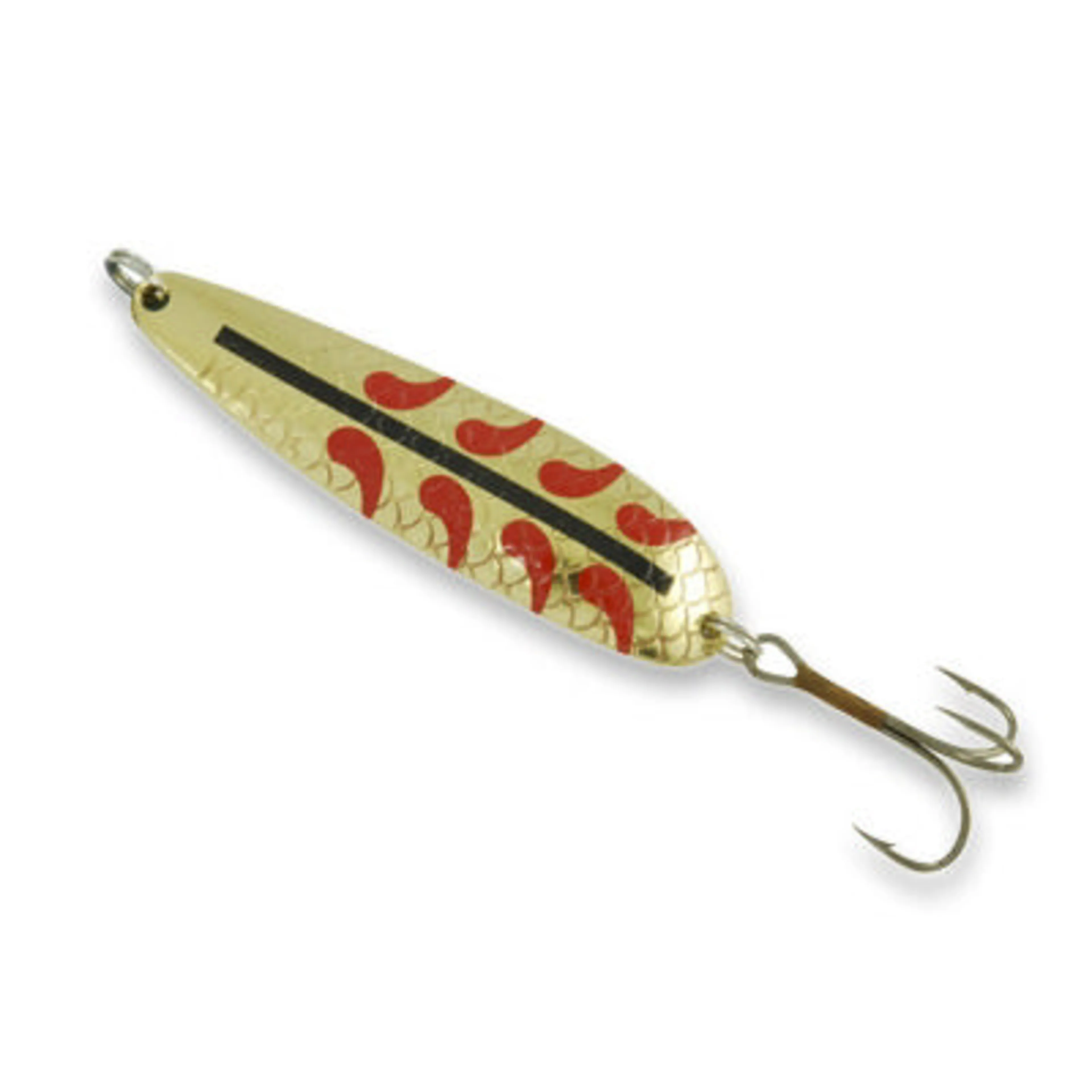 Salamander Allround