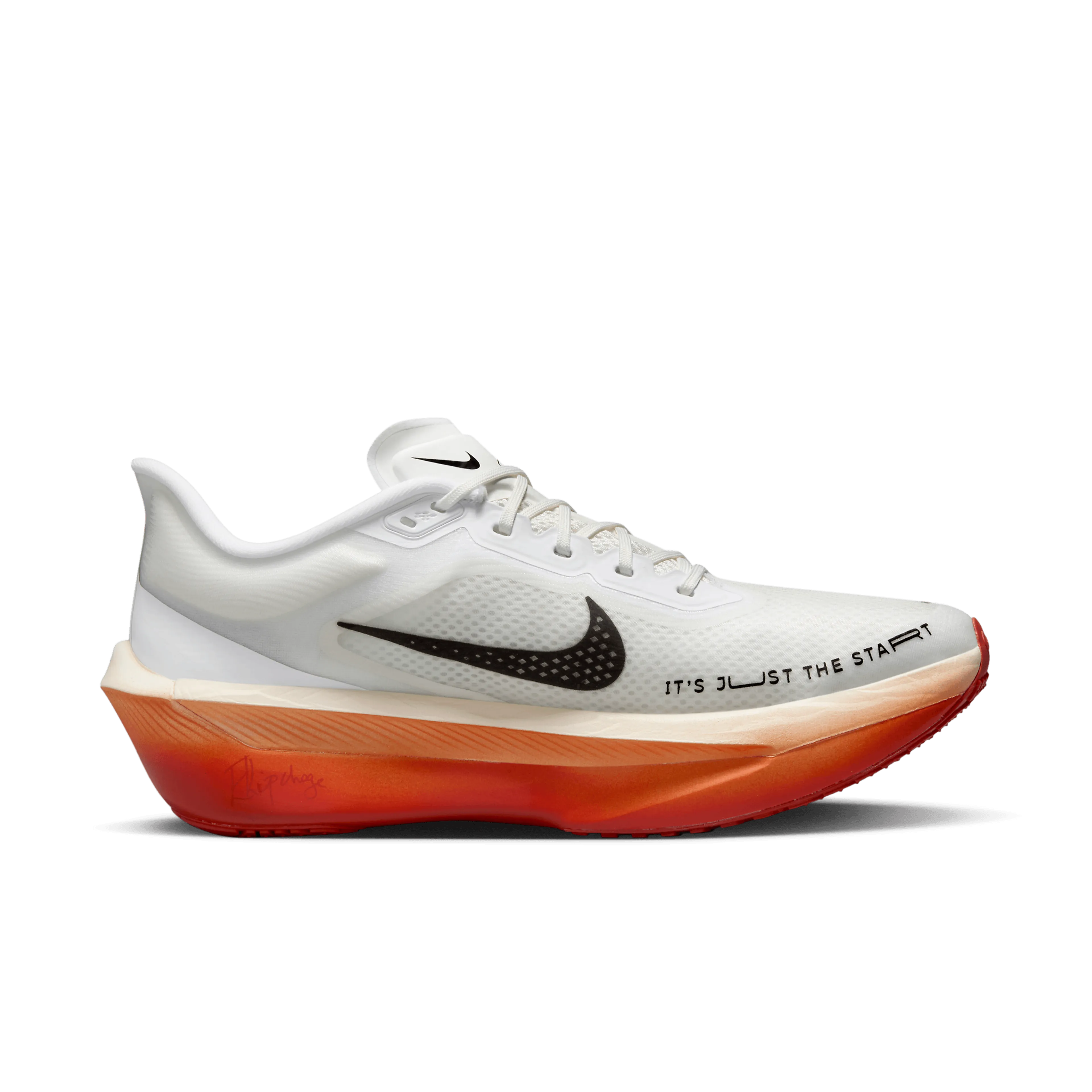 ZOOM FLY 6 EK