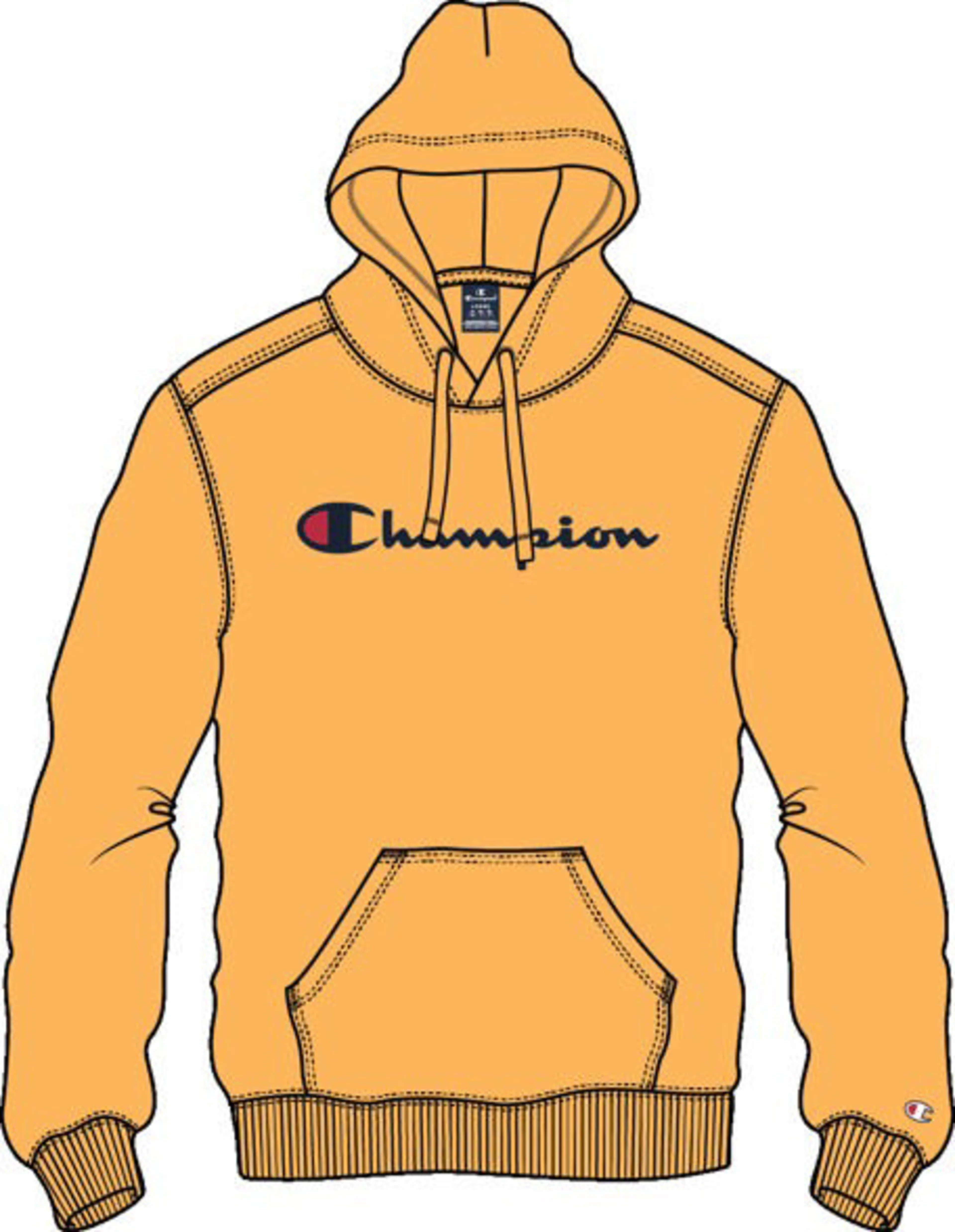 Icons Hooded Sweatshirt Large Logo Icons Hooded Sweatshirt Large Logo