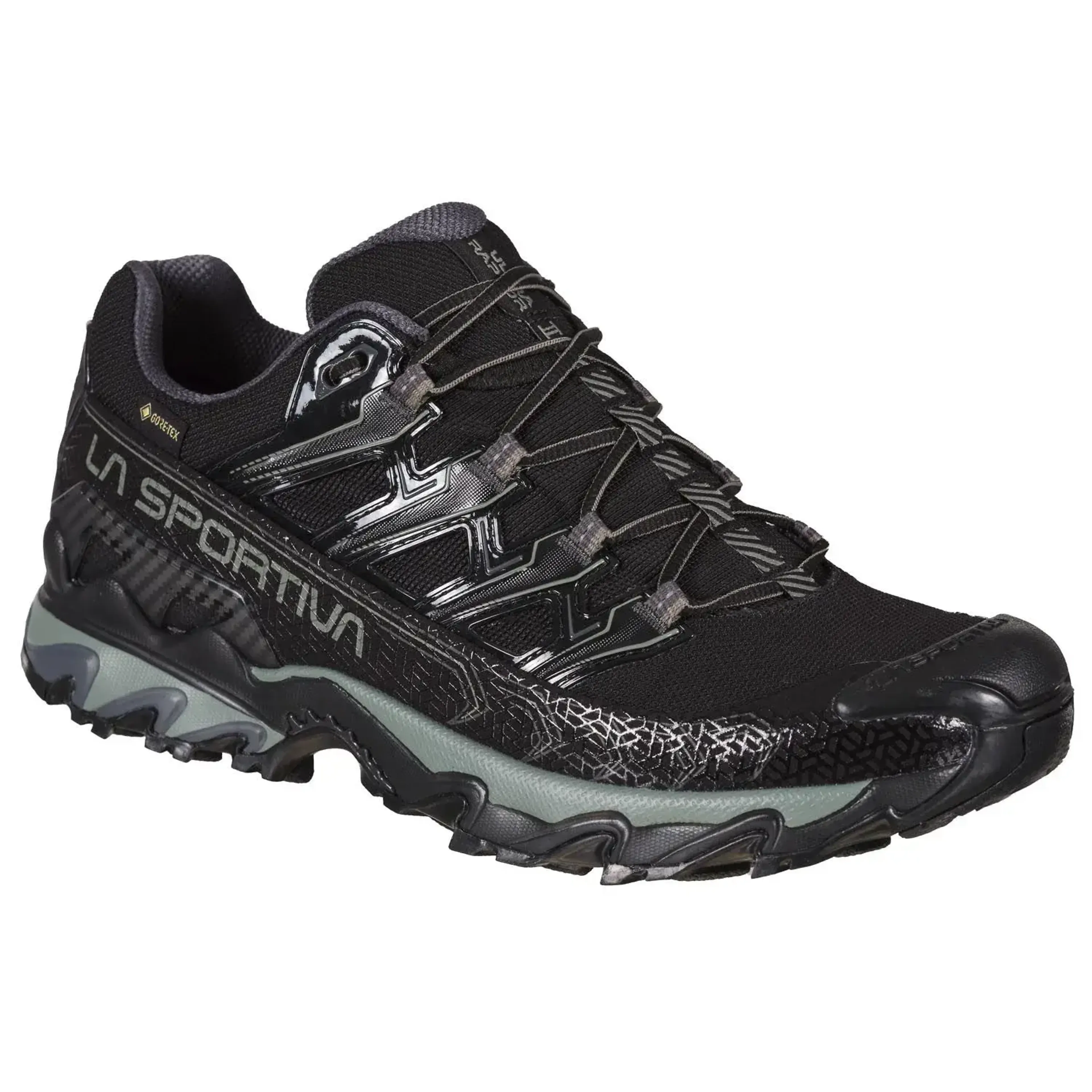Ultra Raptor II GTX Hikingsko