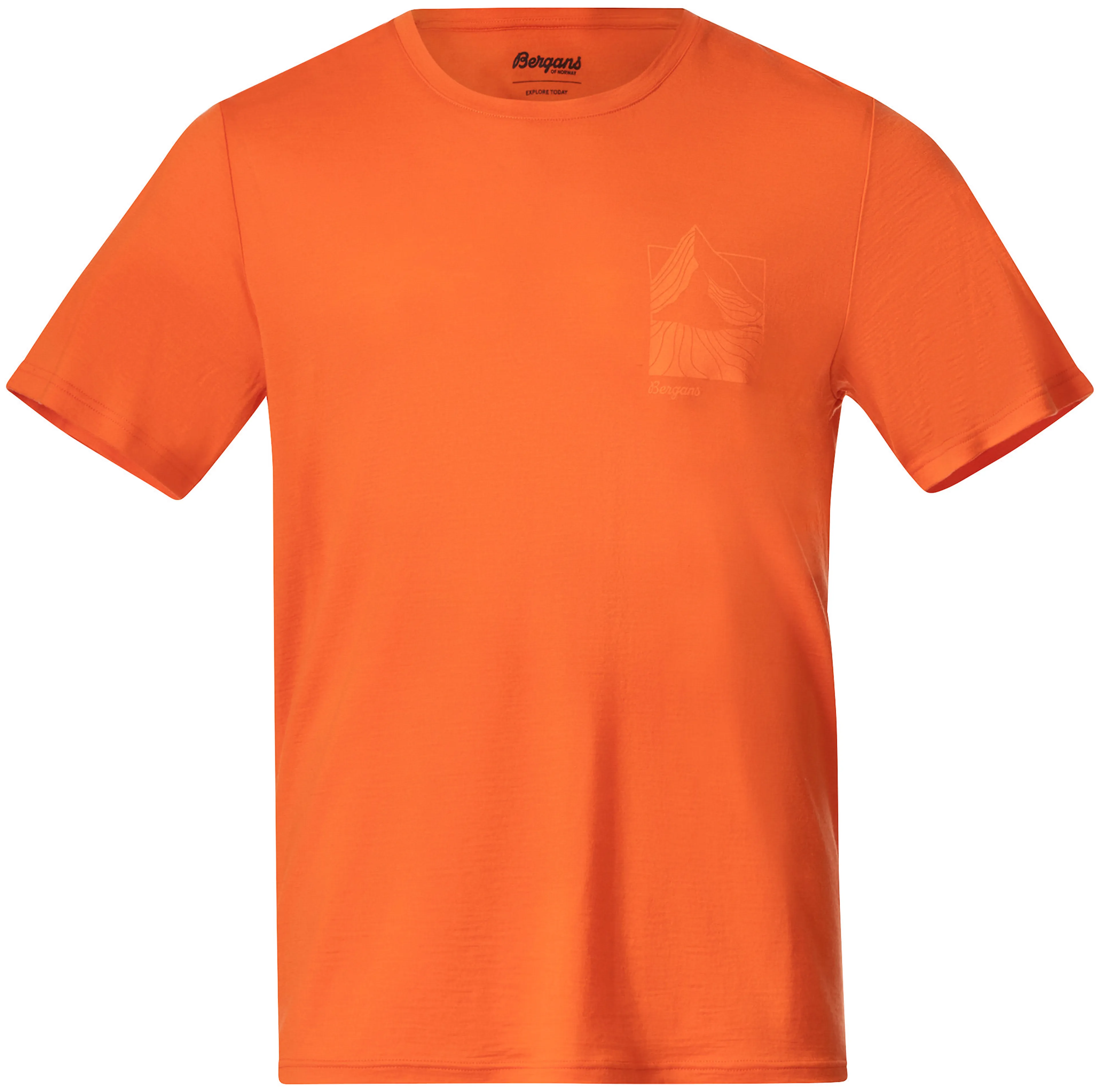 Rabot Mount Wool Tee Men