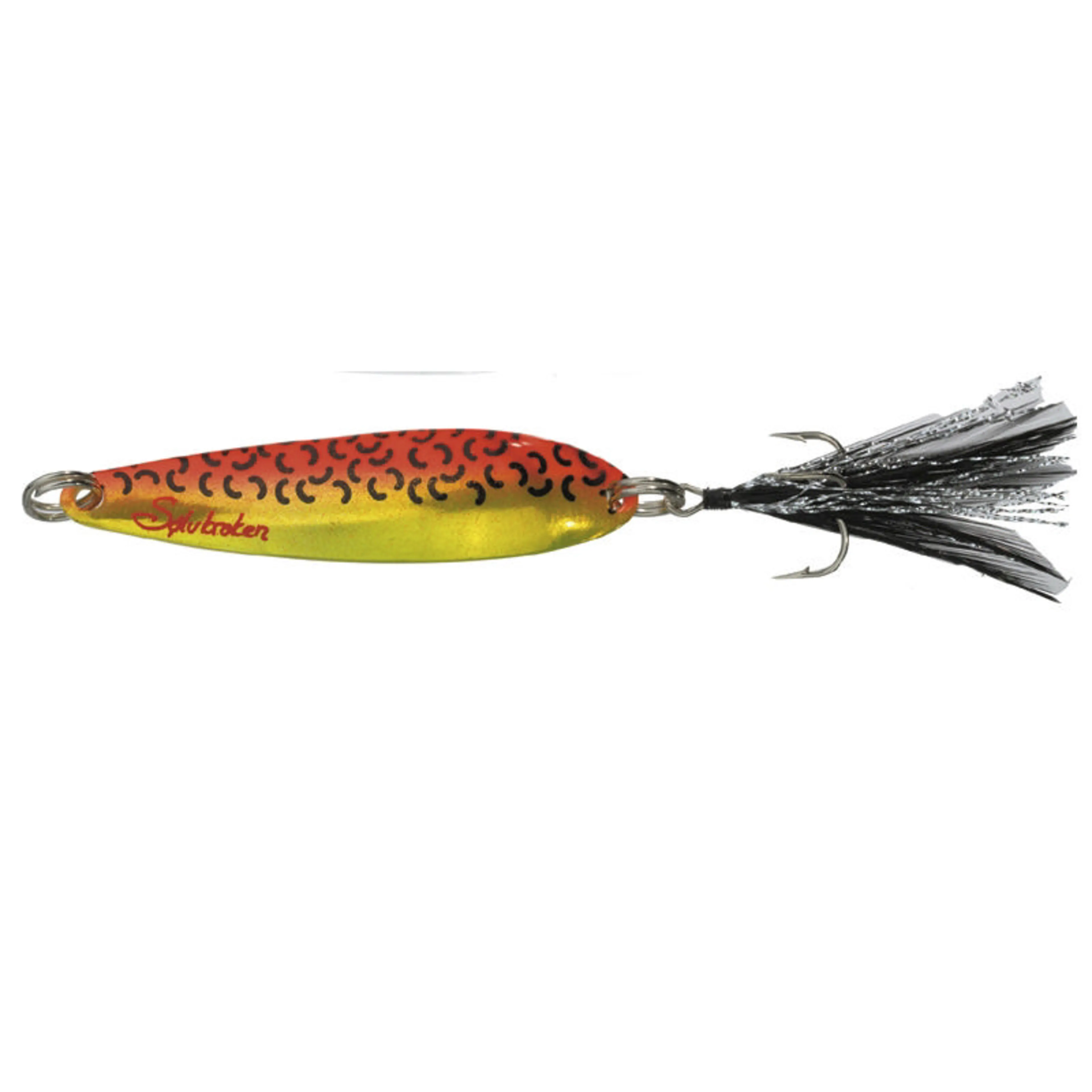 Morild Seatrout