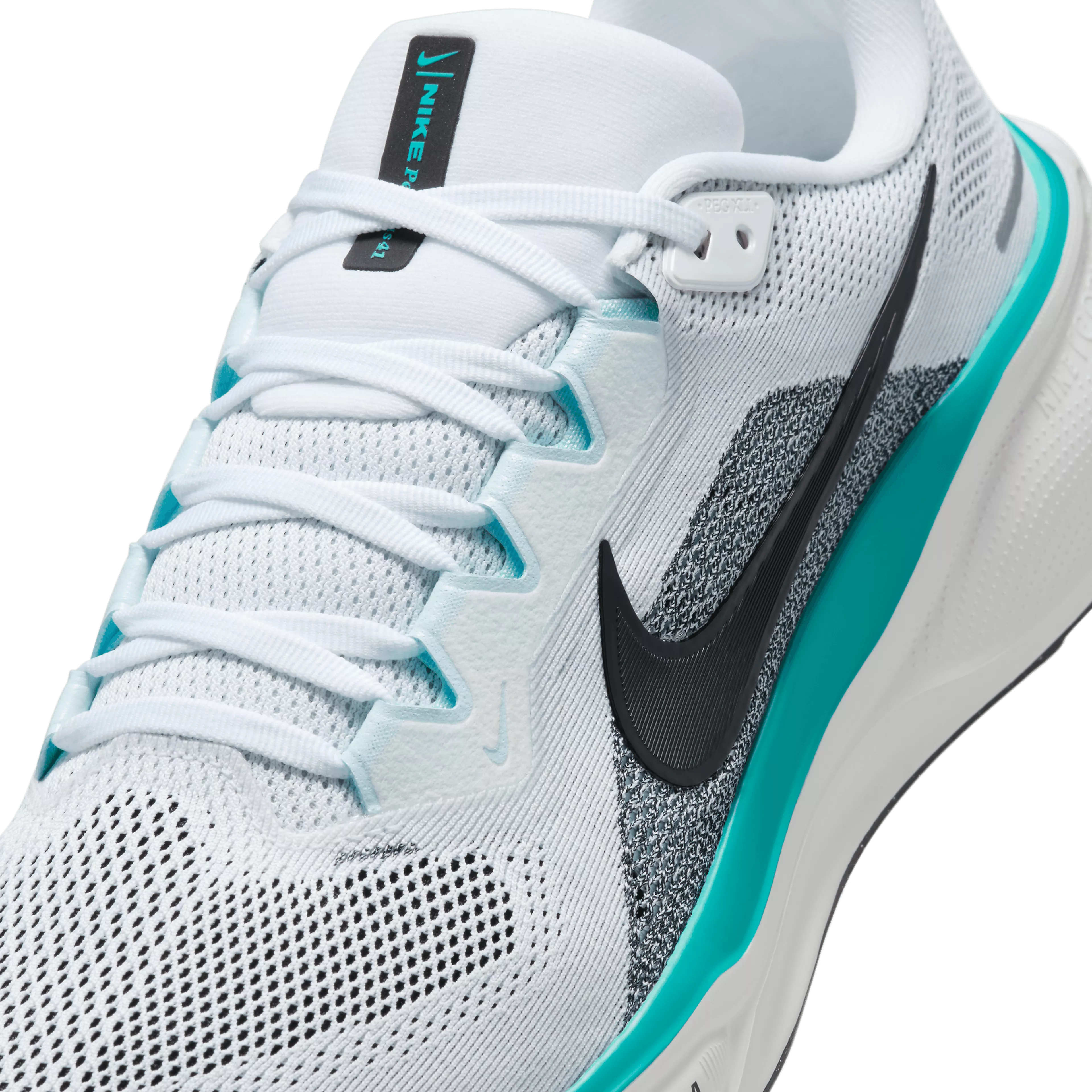  Pegasus 41