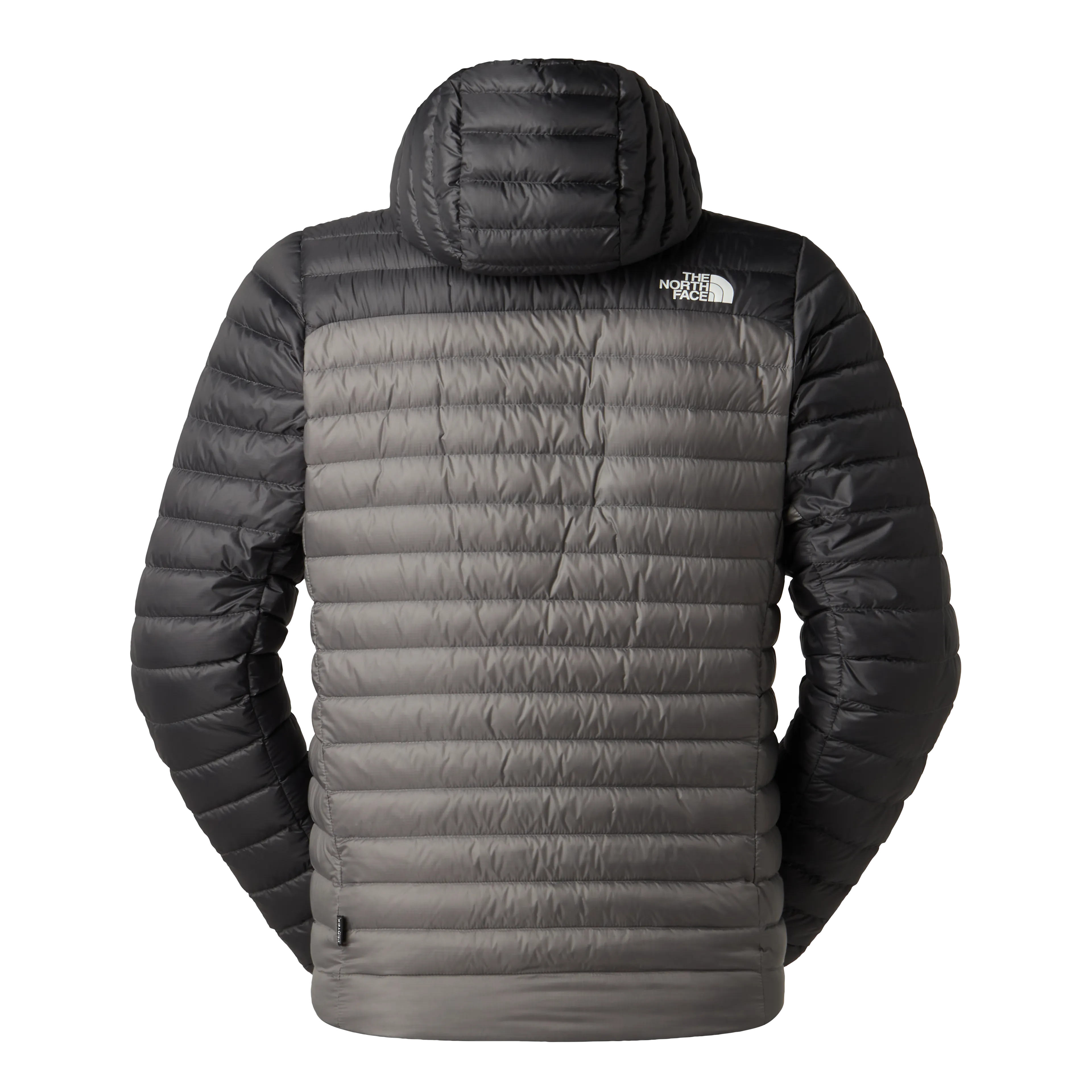 M BETTAFORCA LT DOWN HOODIE