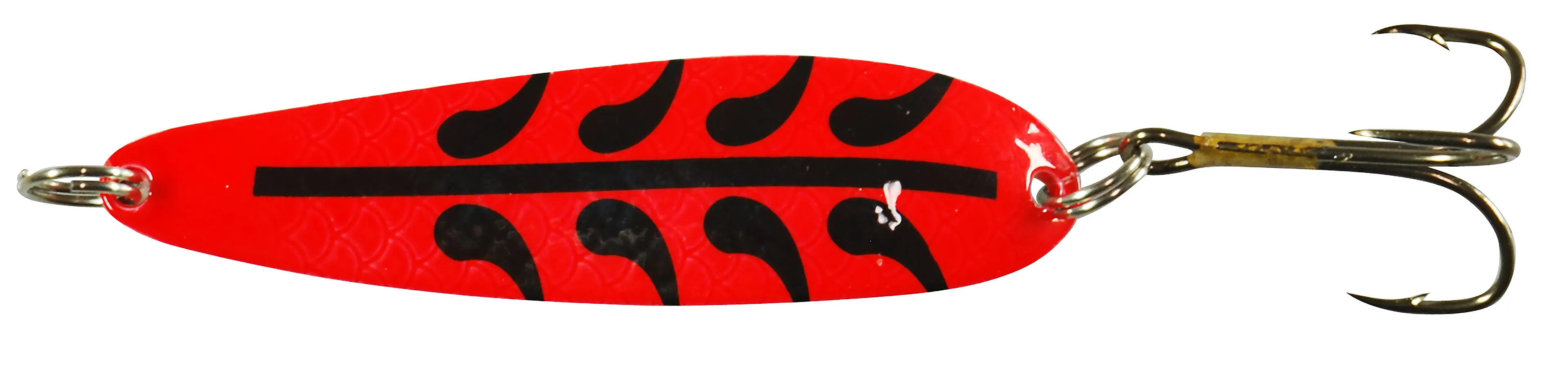 Salamander Trout