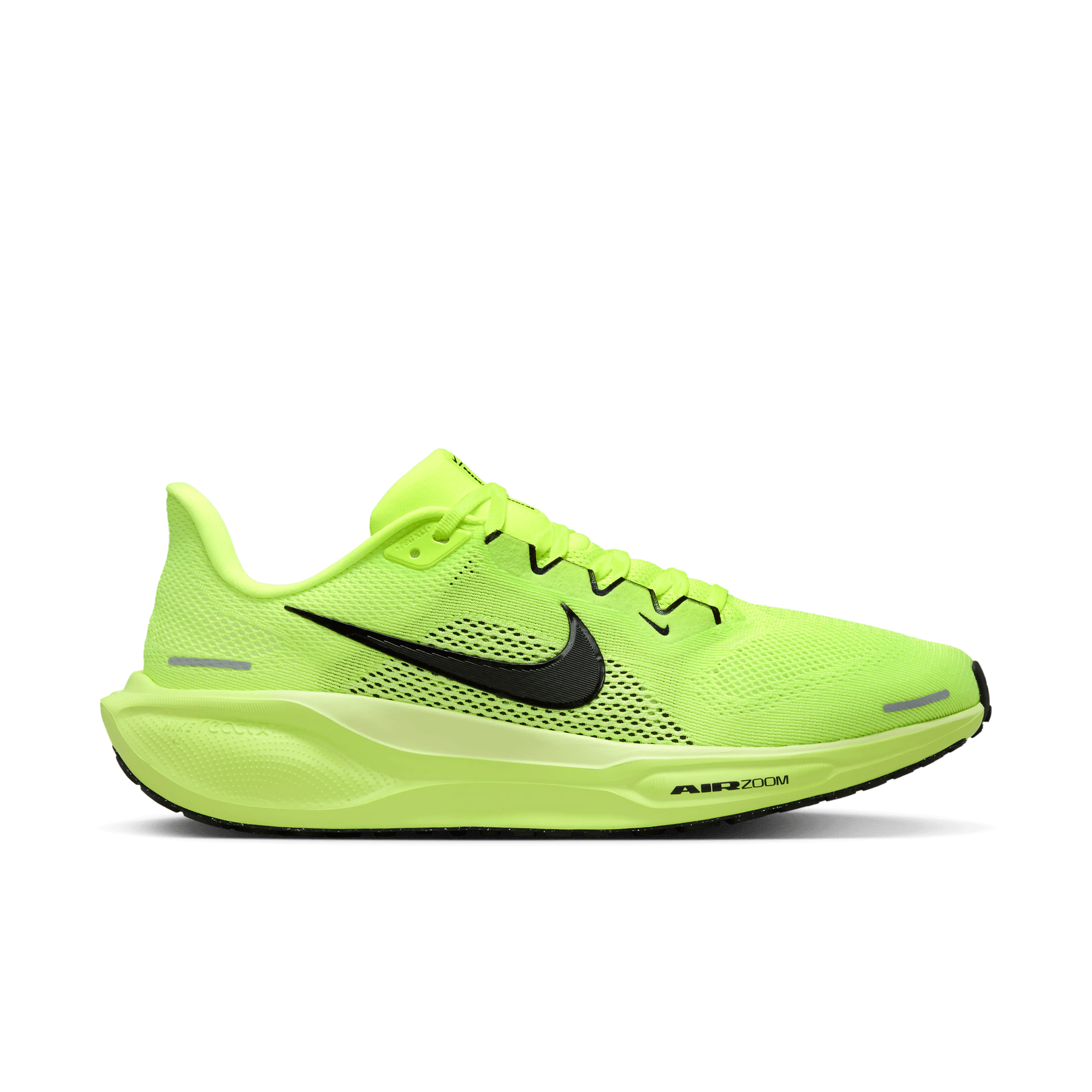  Pegasus 41