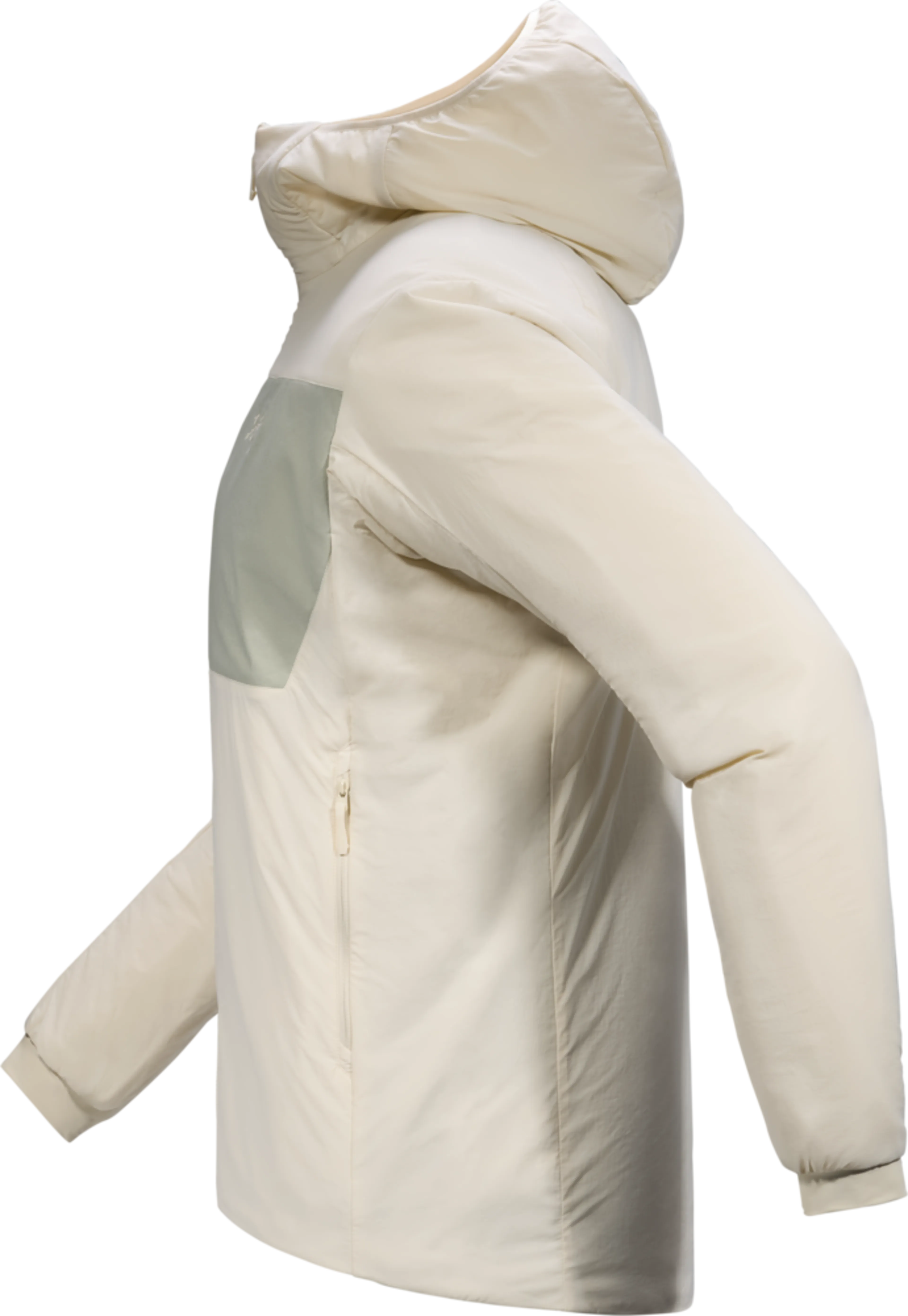 Proton Hoody M
