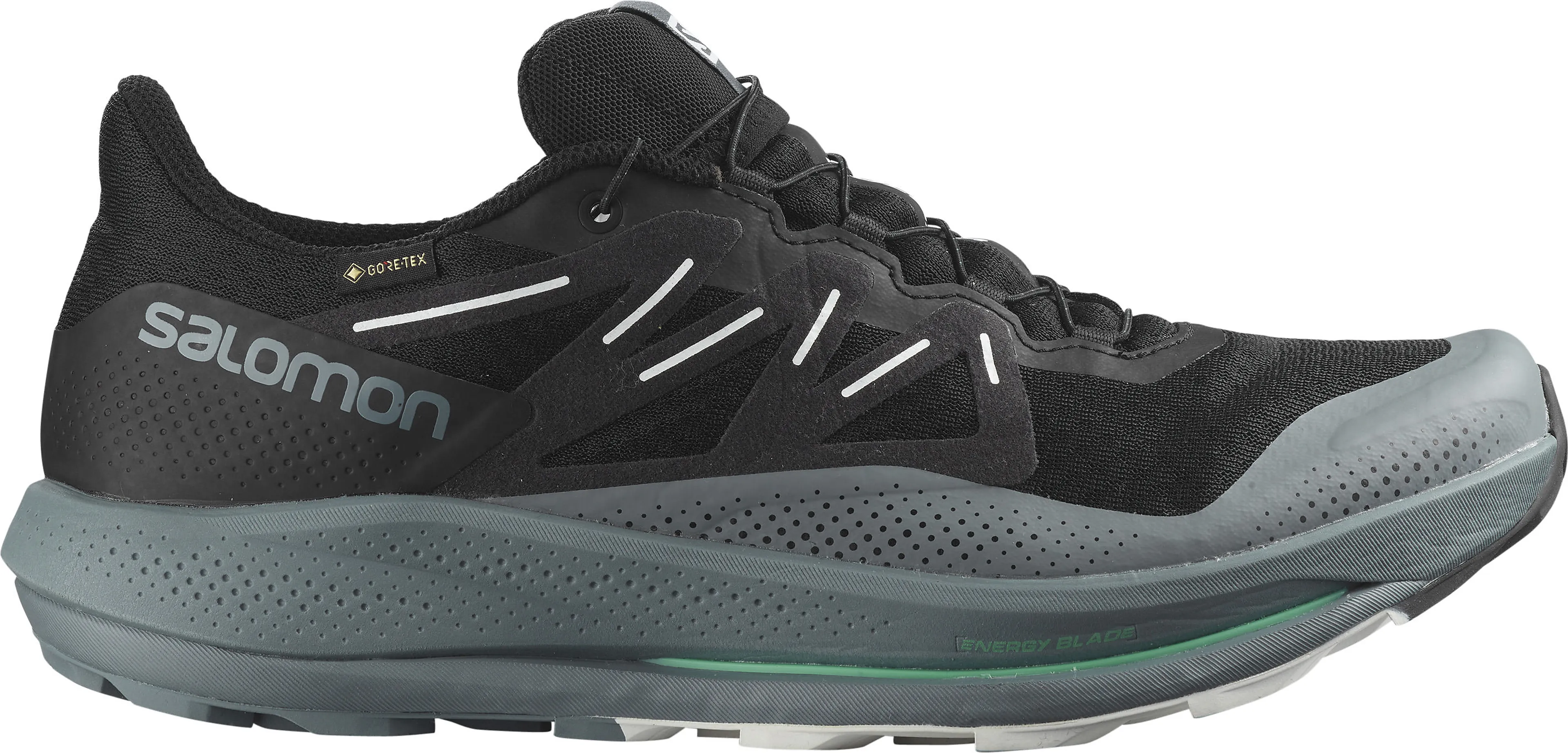 PULSAR TRAIL GTX terrengløpesko herre