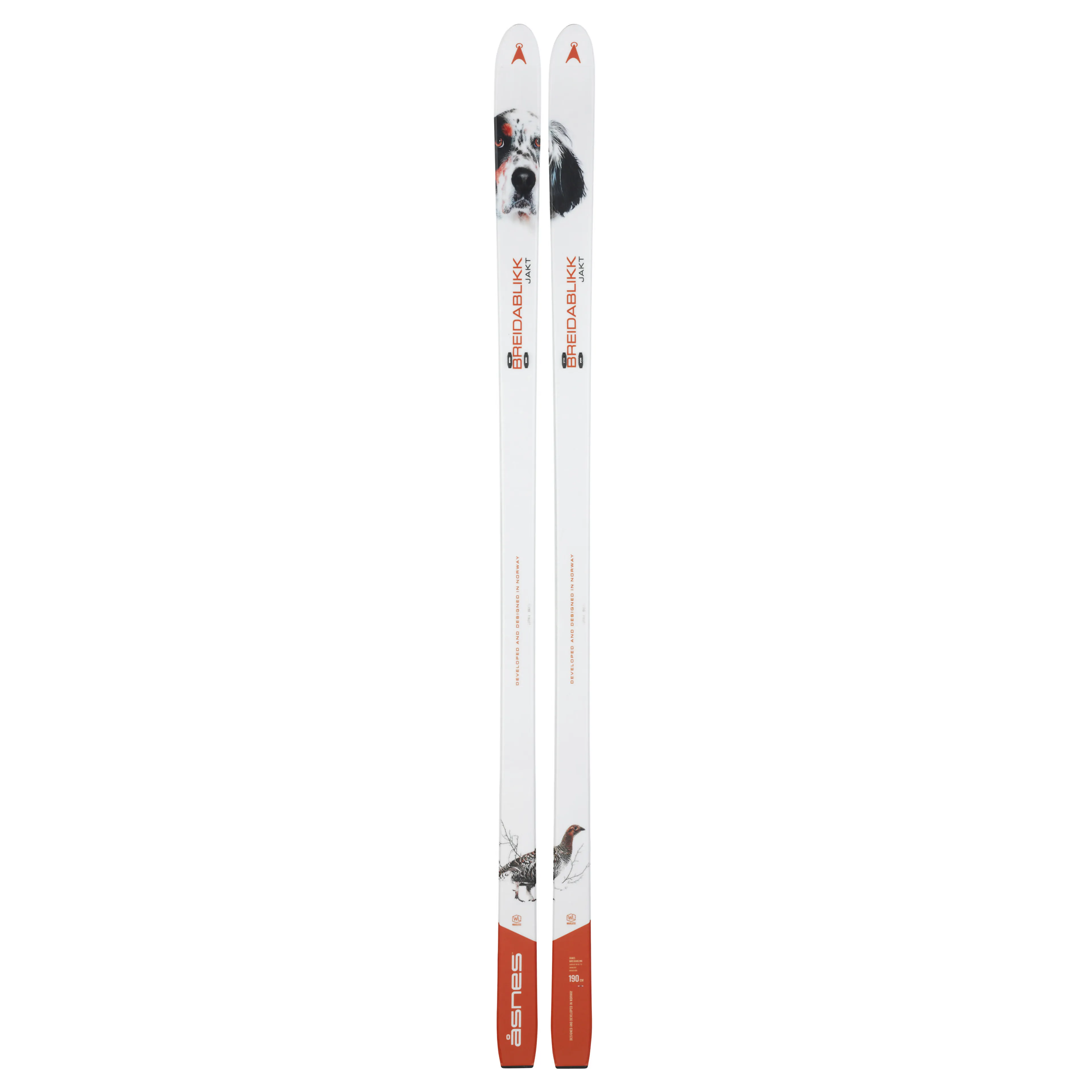 BREIDABLIKK BC SKI WL/FL