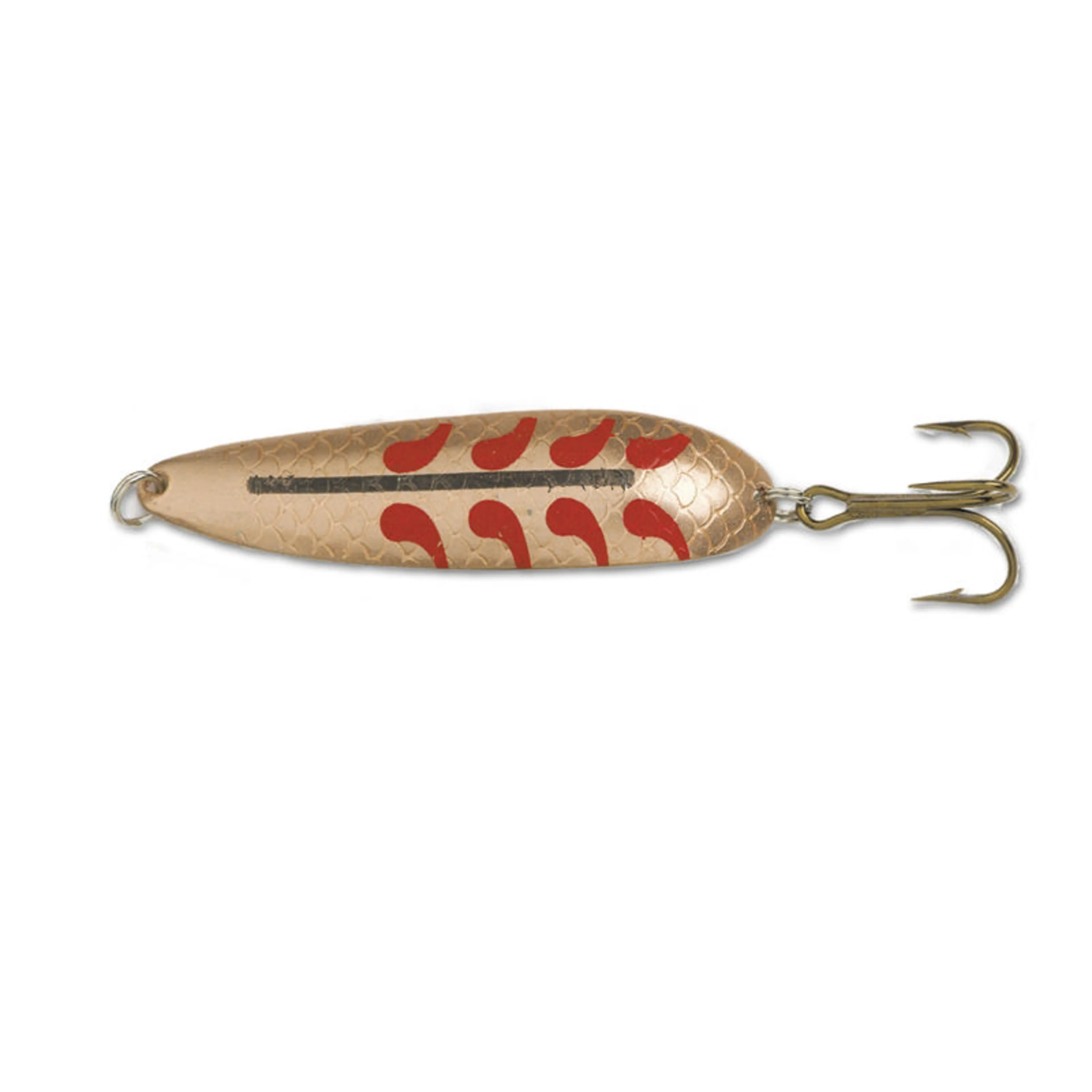 Salamander Allround