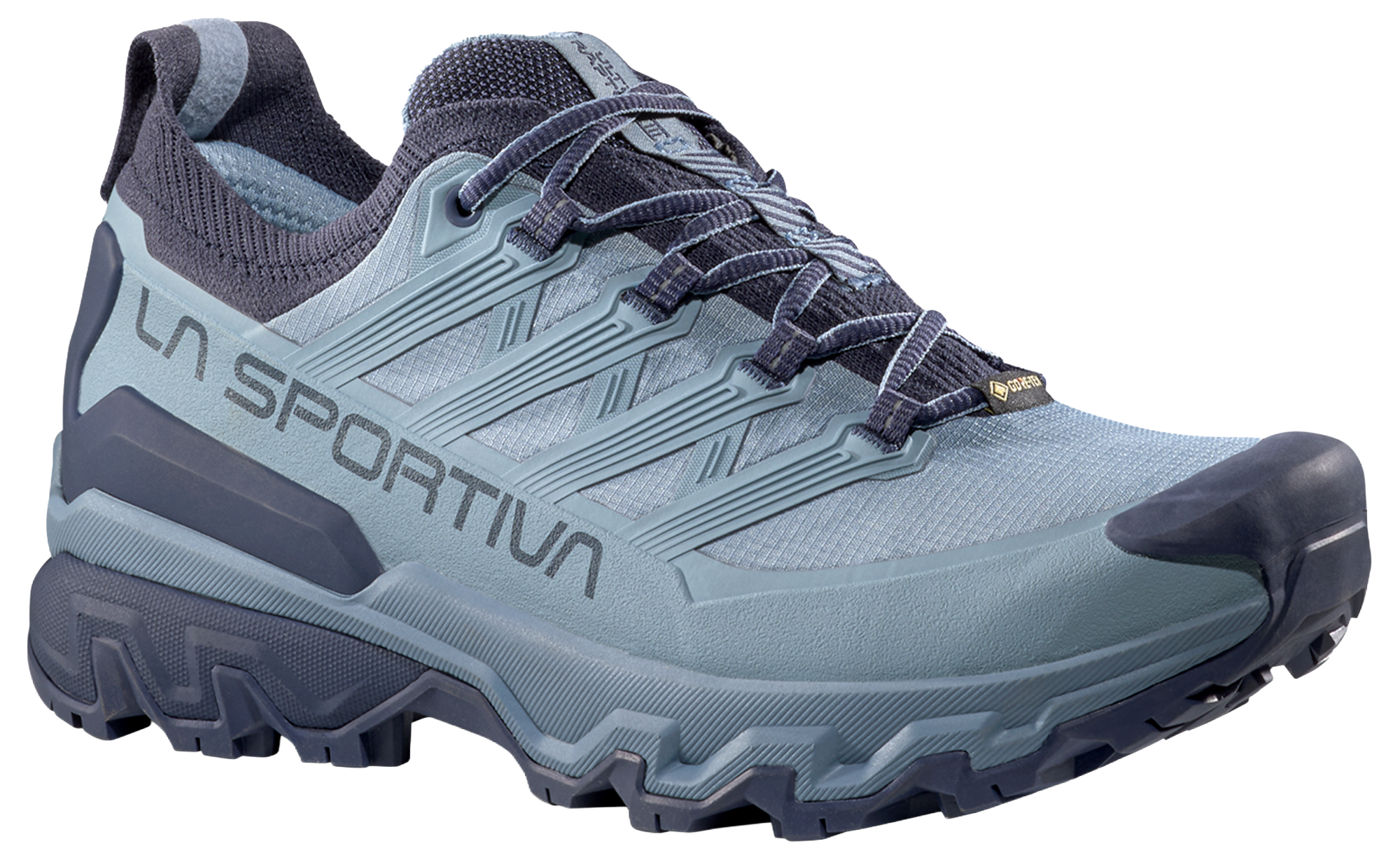 Ultra Raptor 3 GTX W's Hikingsko