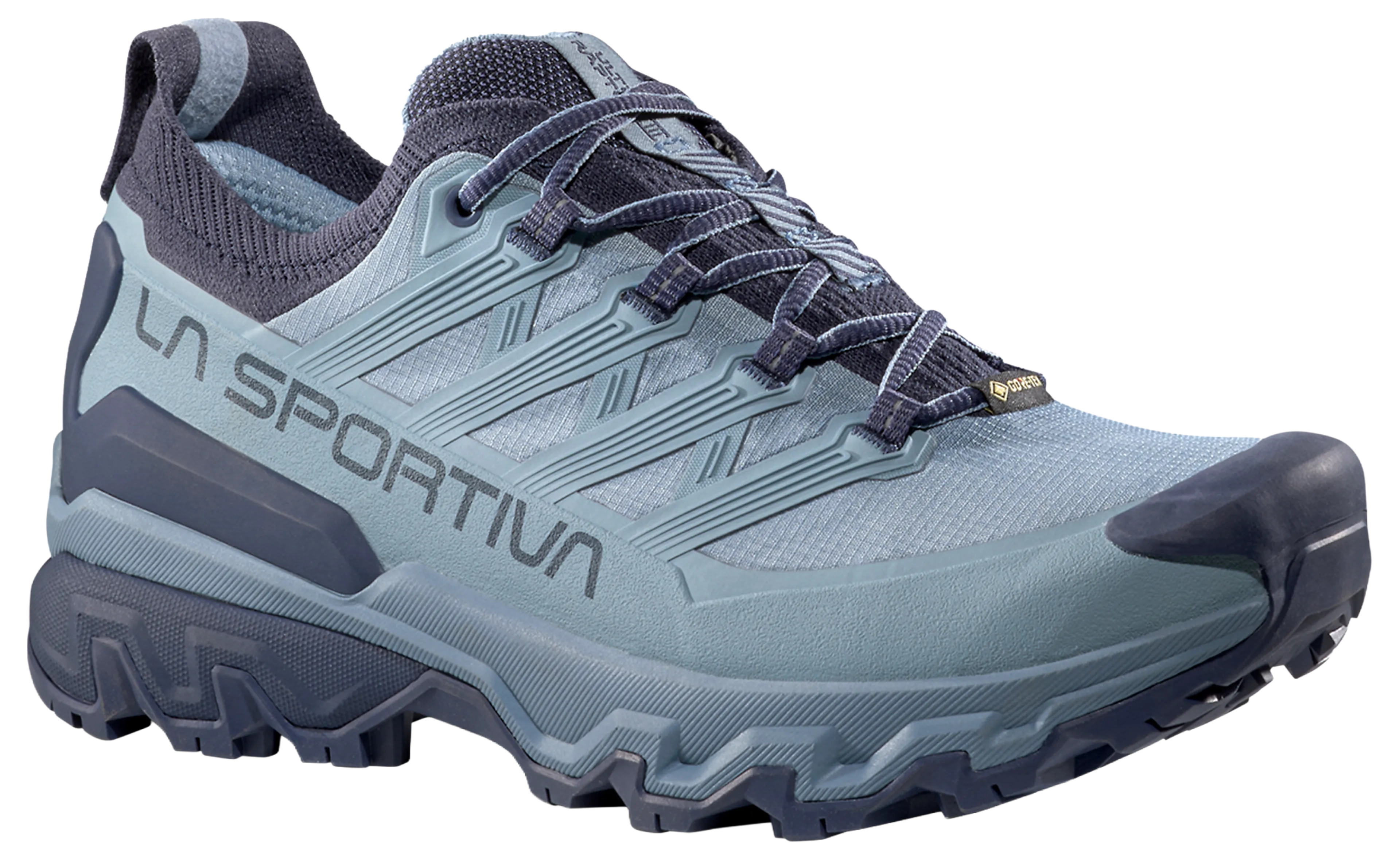 Ultra Raptor 3 GTX W's Hikingsko