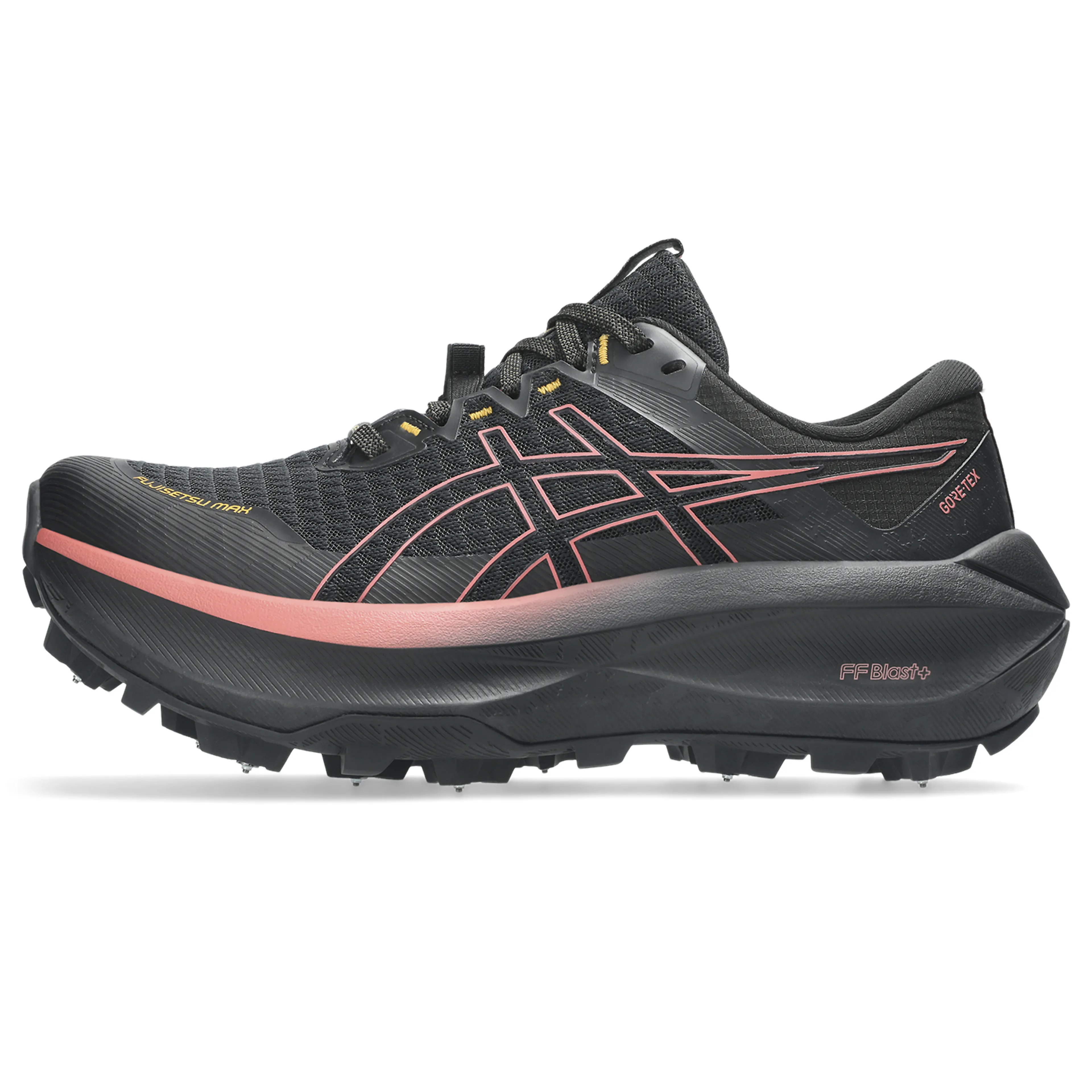 FUJISETSU MAX GTX