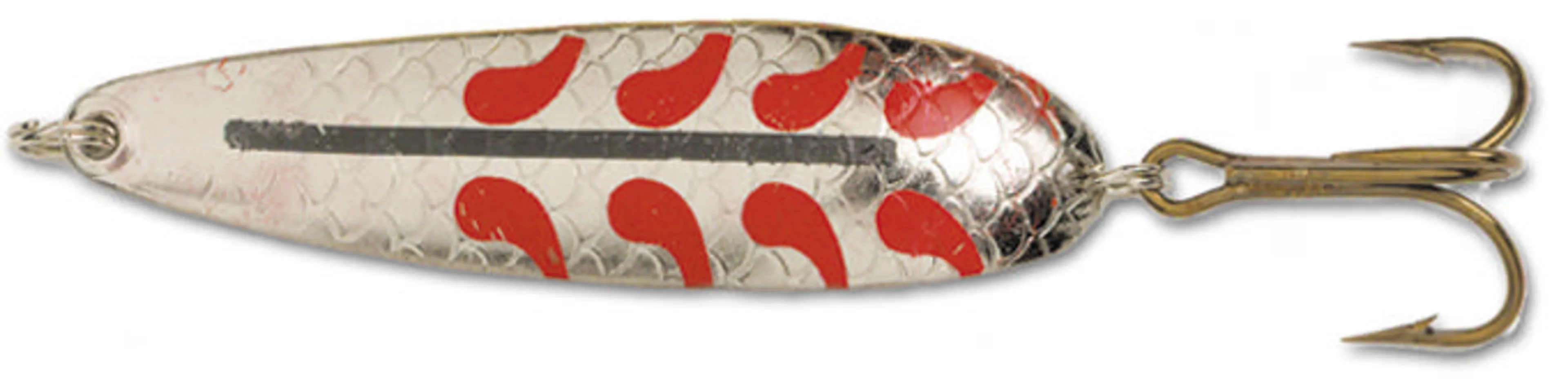 Salamander Allround