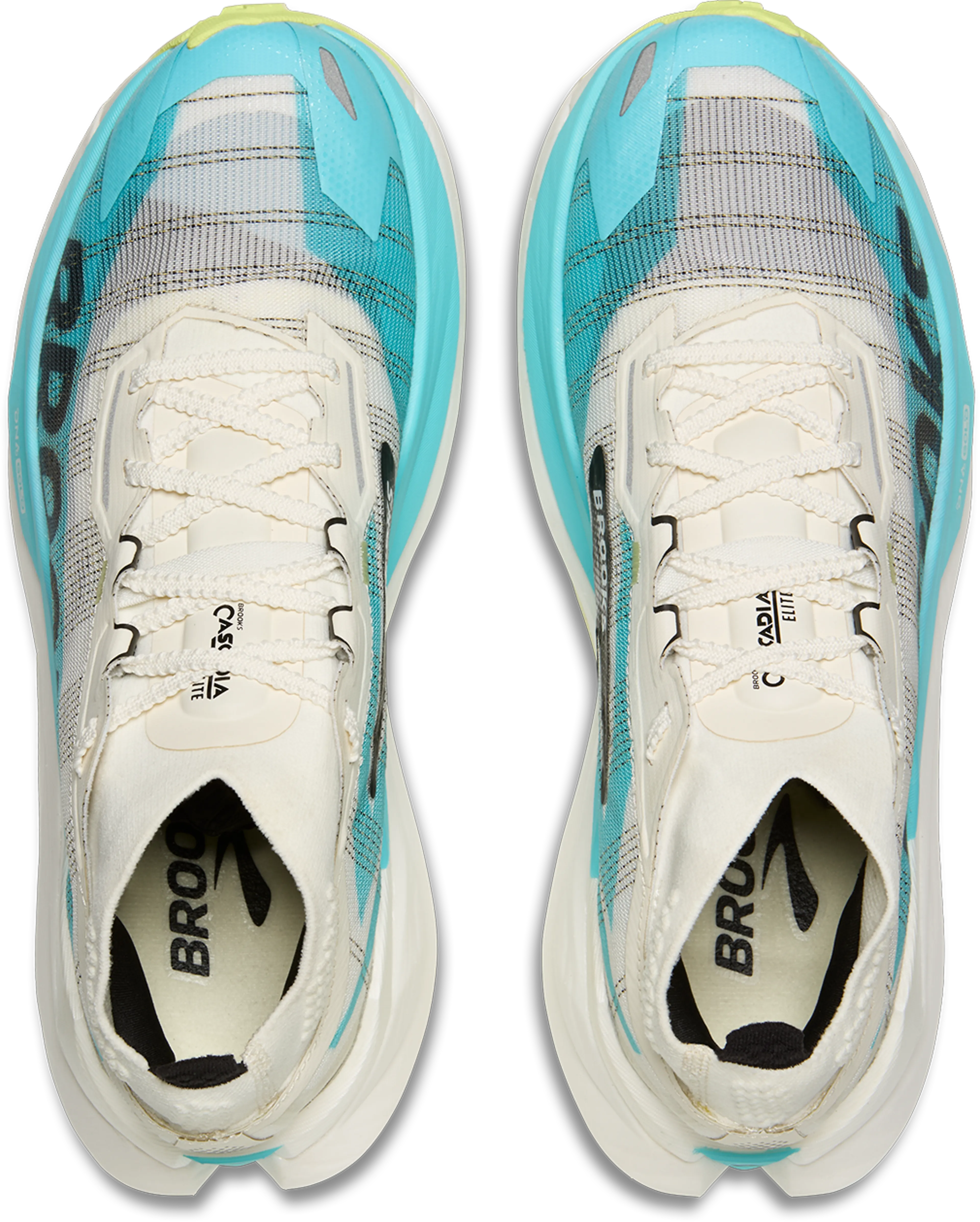 Cascadia Elite