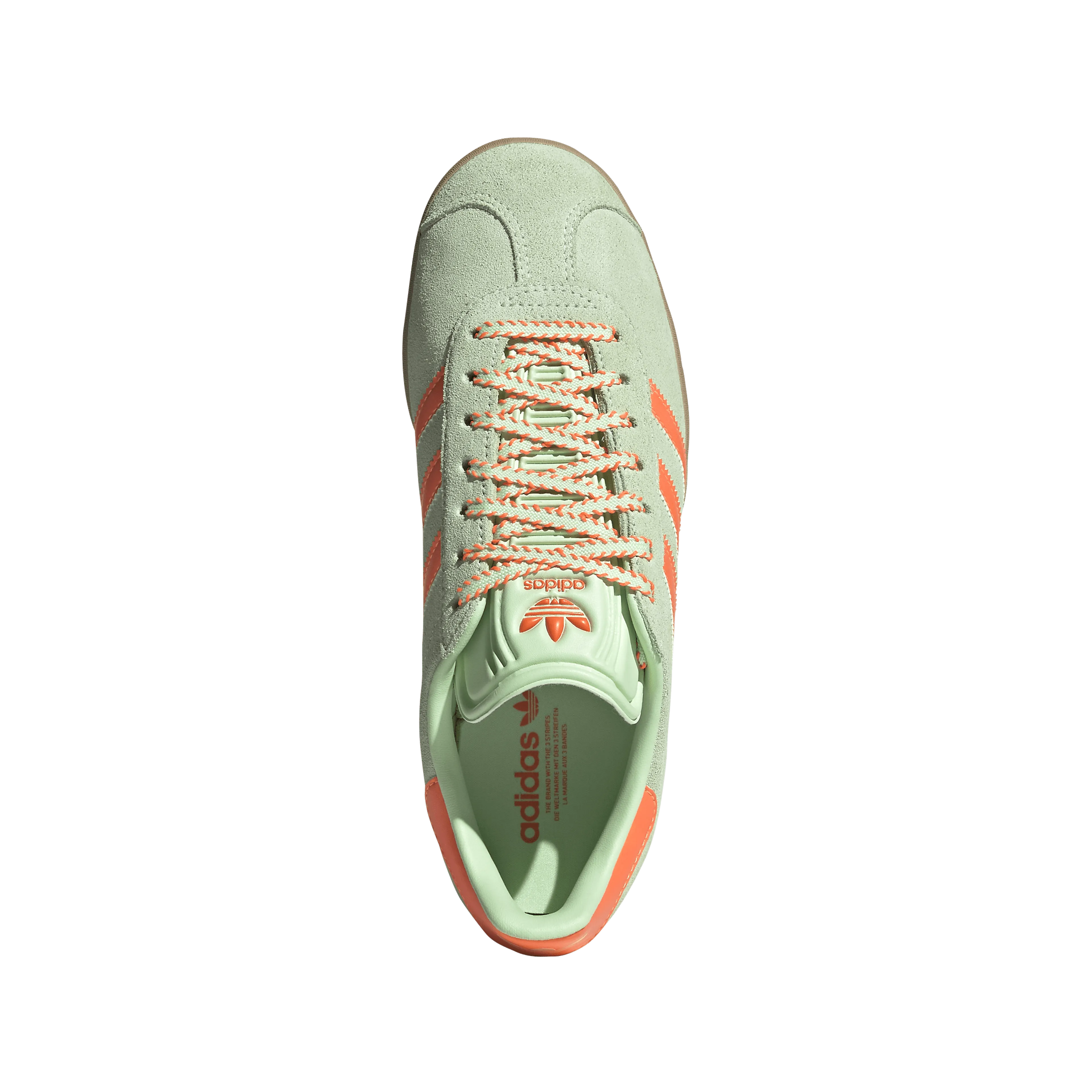 Gazelle W