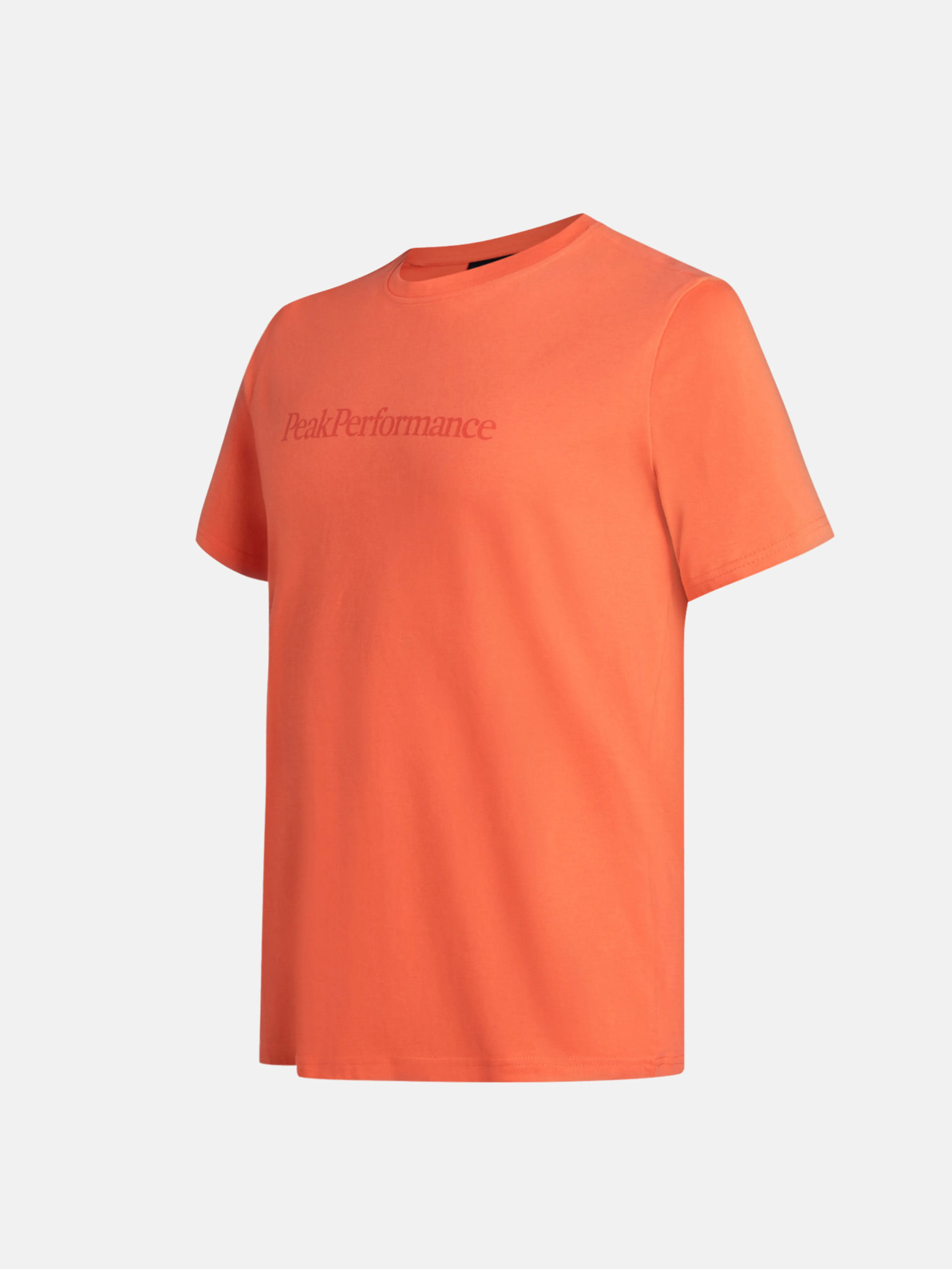 Big Logo t-skjorte herre