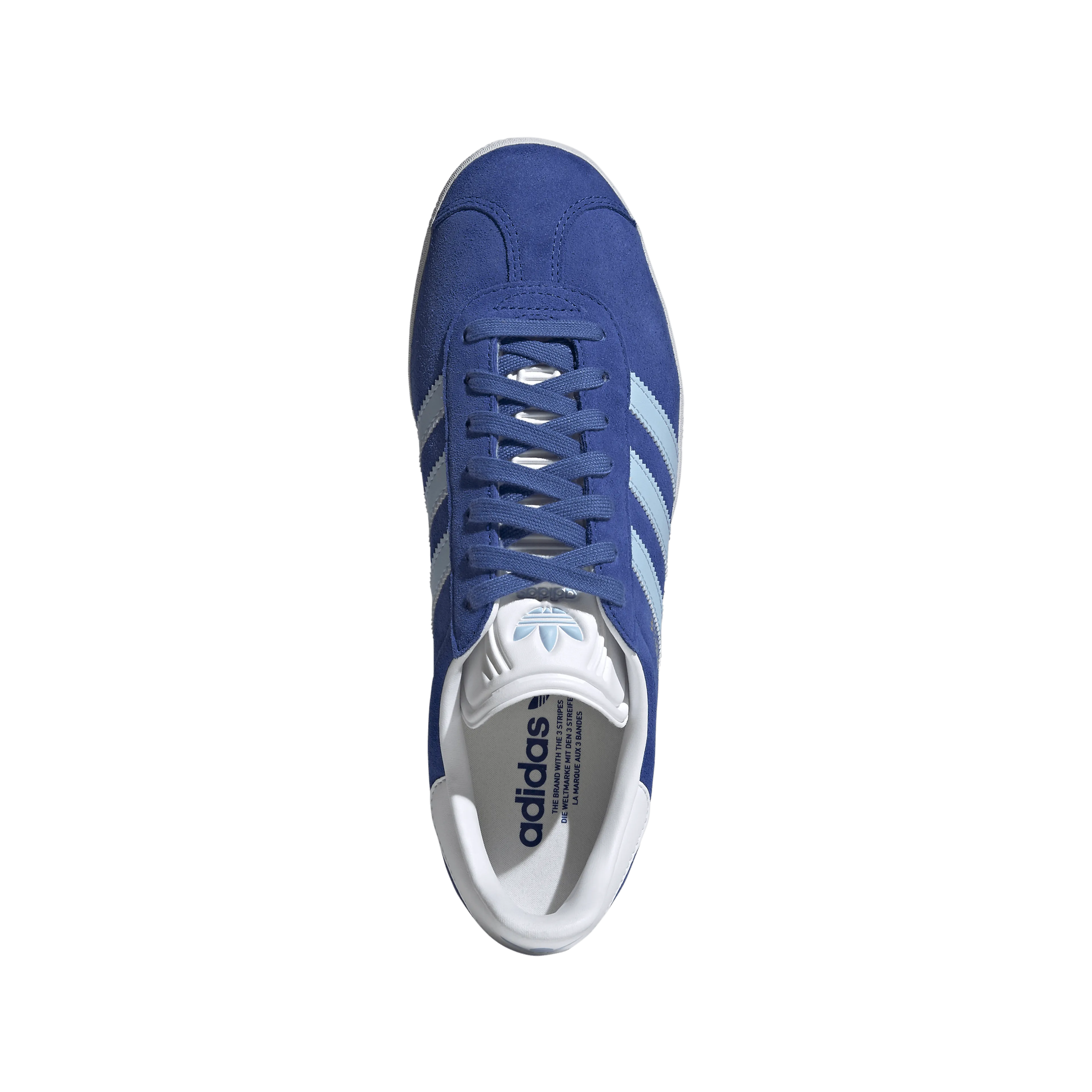 Gazelle