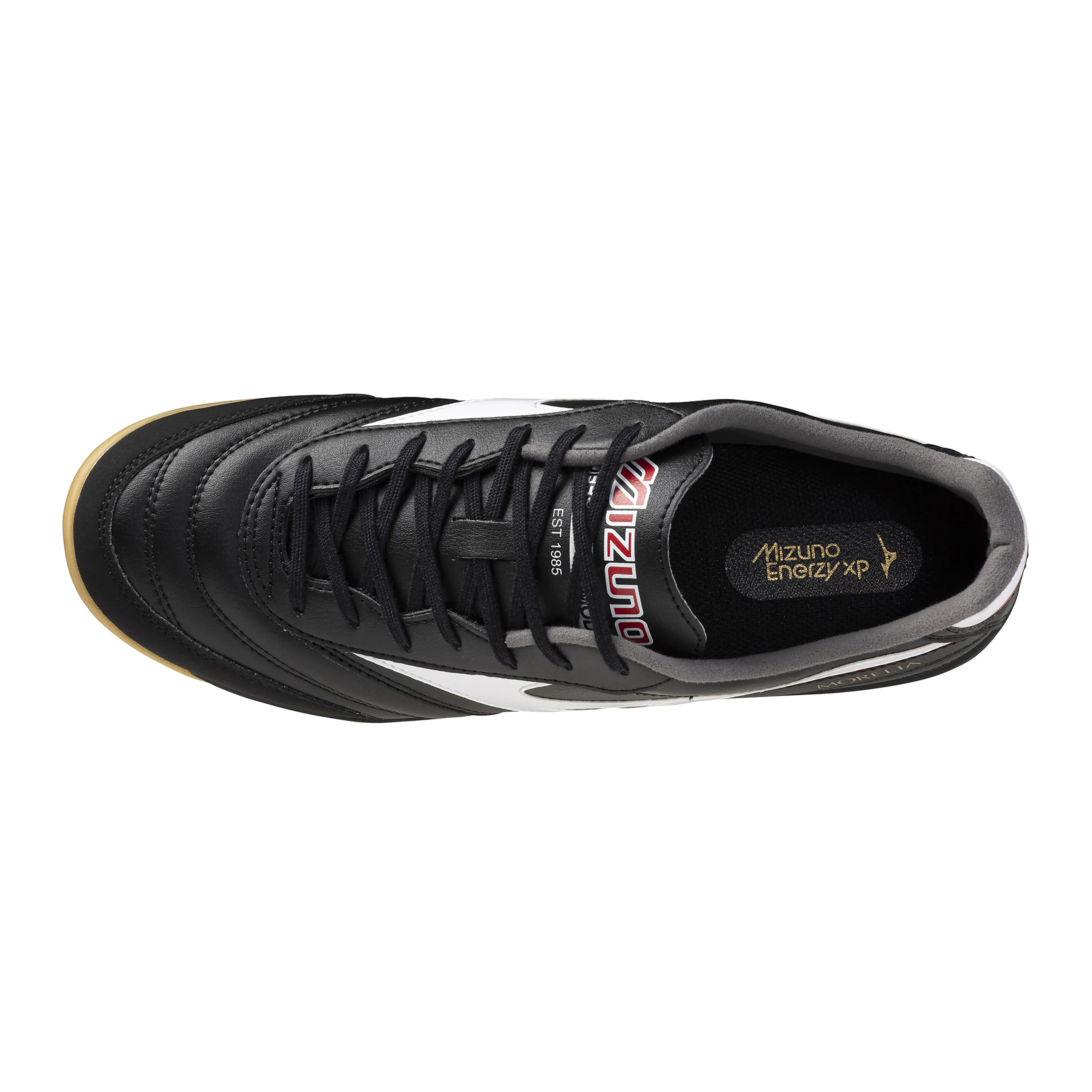 MORELIA SALA PRO IN
